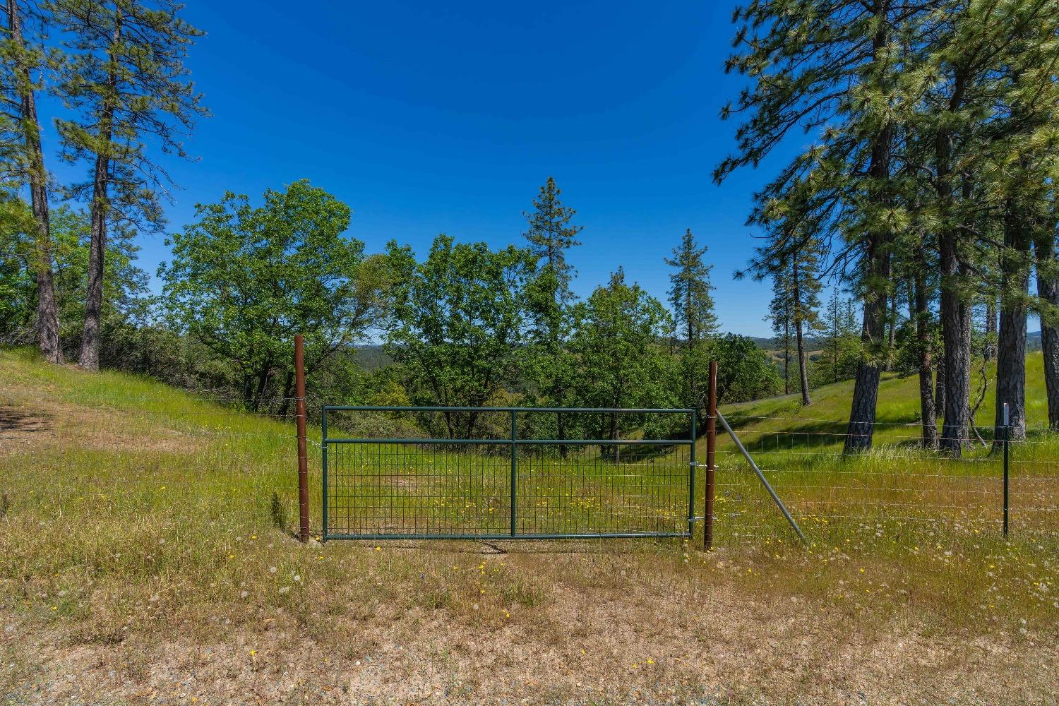 12377 Twin Pines Road Sutter Creek, CA 95685 - Photo 1 of 57 Gallery Image 1