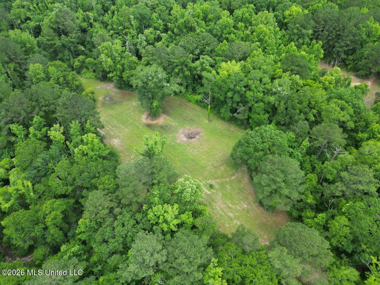 2986 Oldenburg Road Meadville, MS 39653 - Photo 11 of 44 DJI_0386 Large