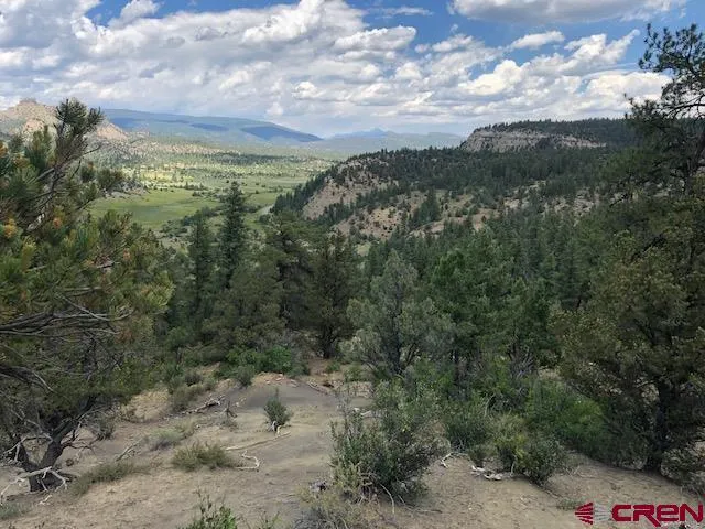 a view of a field with lots of trees