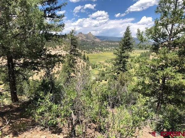 a view of a bunch of trees