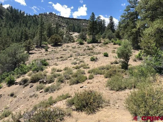 a view of a covered with trees in the background