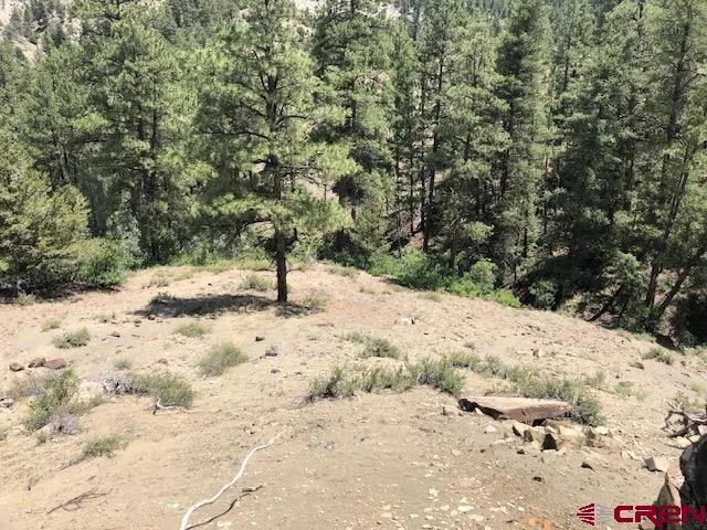 a view of a snow with trees in the background