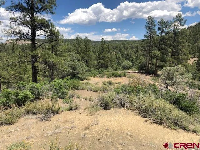 a view of a covered with trees