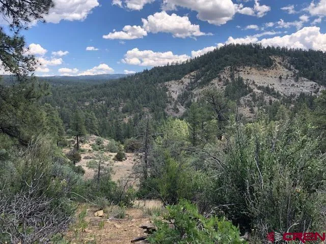 a view of a yard with mountains in the background