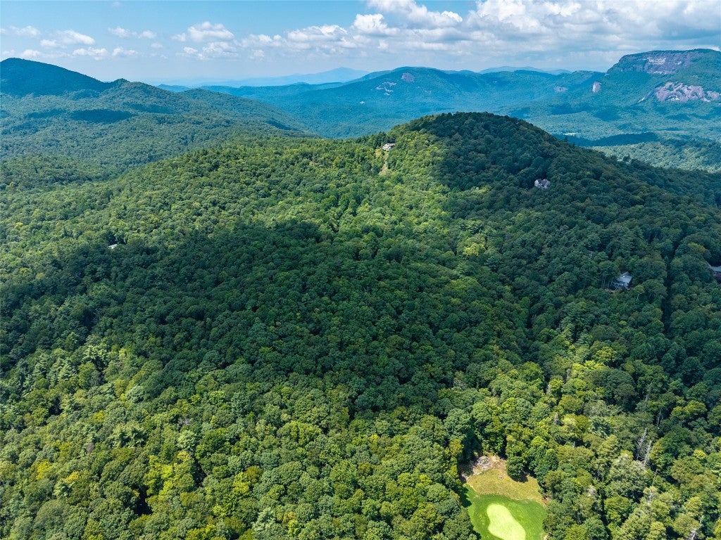 0 Little Terrapin Road Cashiers, NC 28717 - Photo 1 of 14 Gallery Image 1