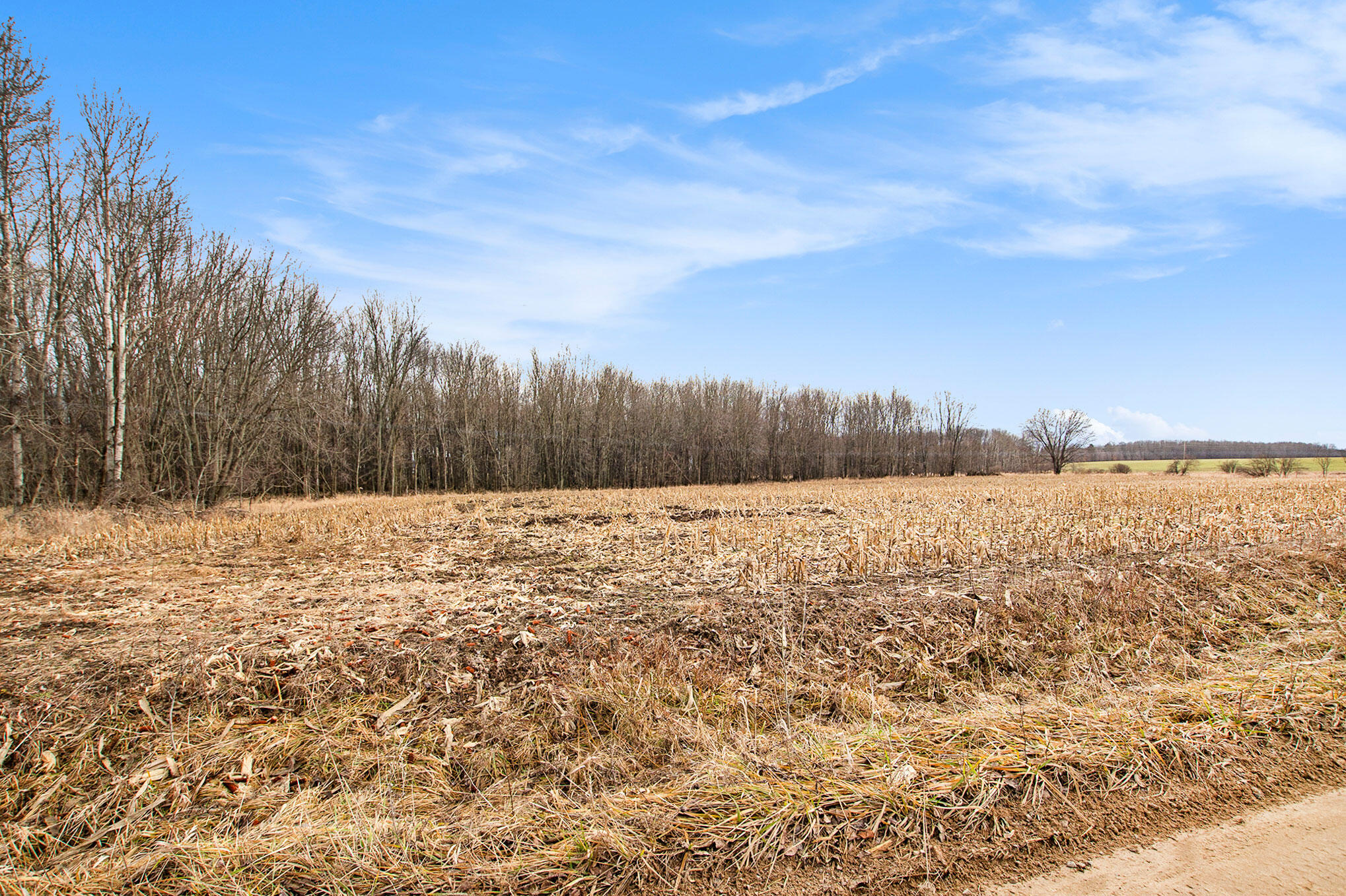 8197 East Jackson Road Walkerville, MI 49459 - Photo 13 of 26 DSC04657