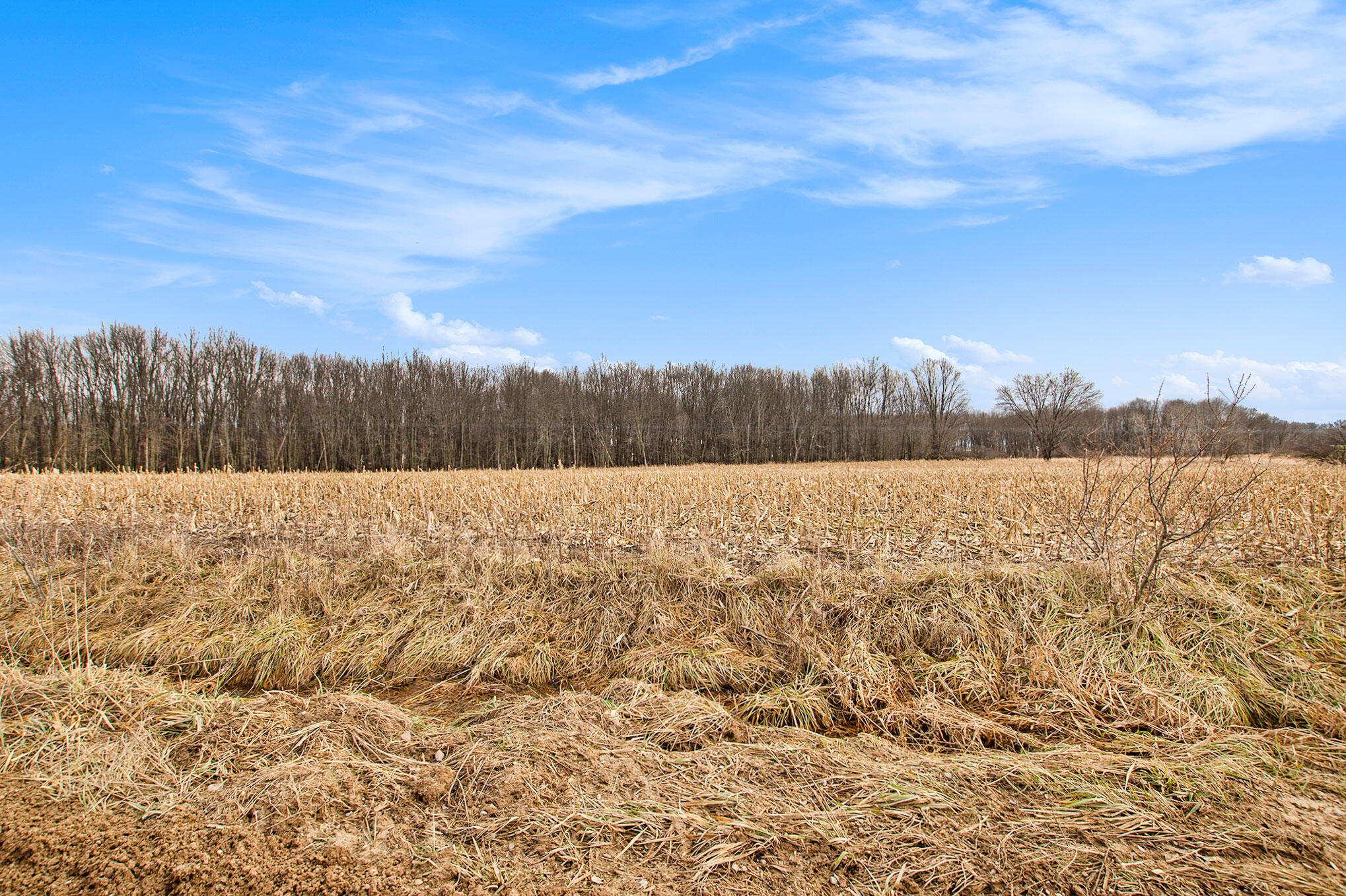 8197 East Jackson Road Walkerville, MI 49459 - Photo 14 of 26 DSC04658