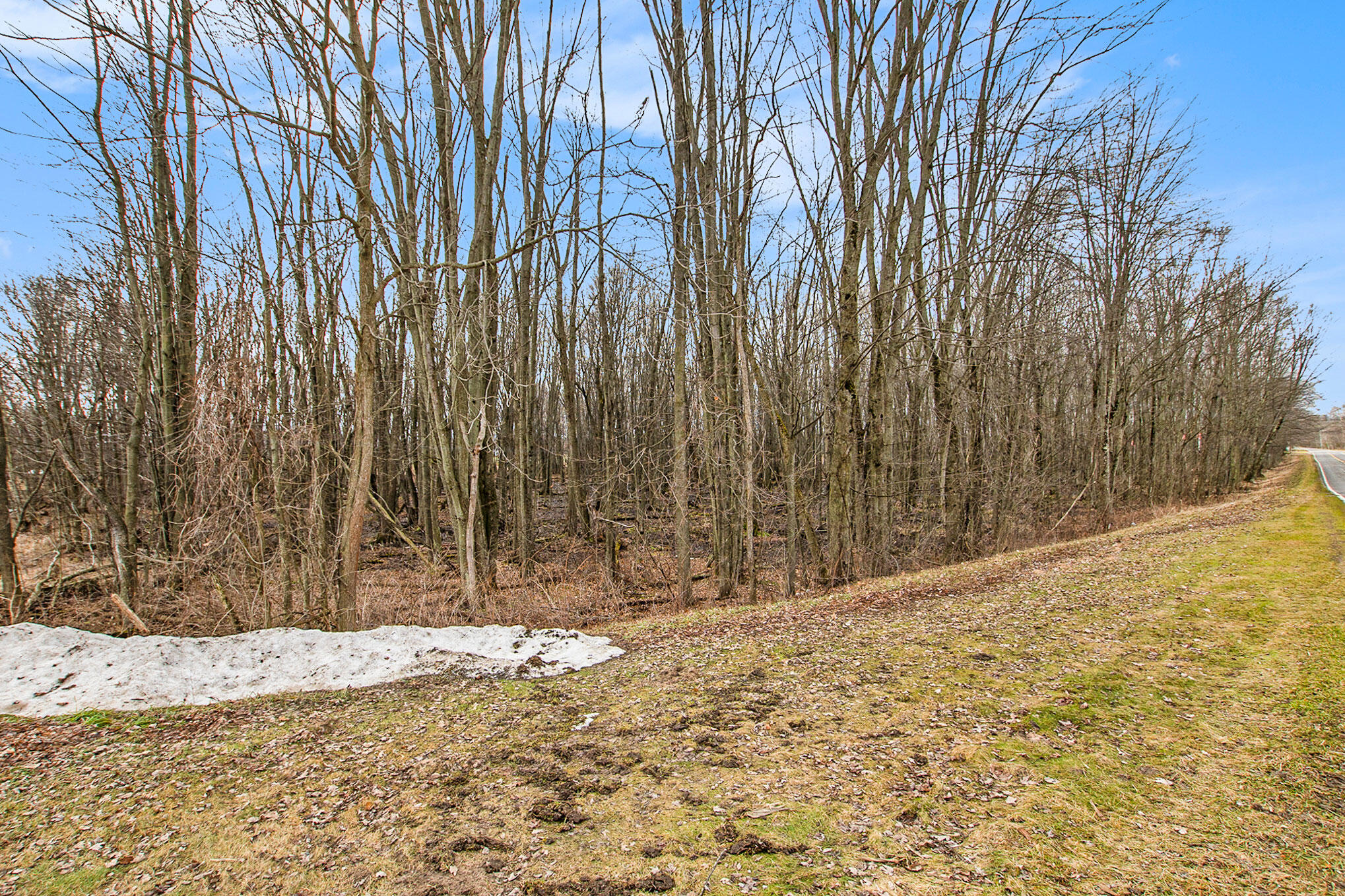 8197 East Jackson Road Walkerville, MI 49459 - Photo 23 of 26 DSC04667
