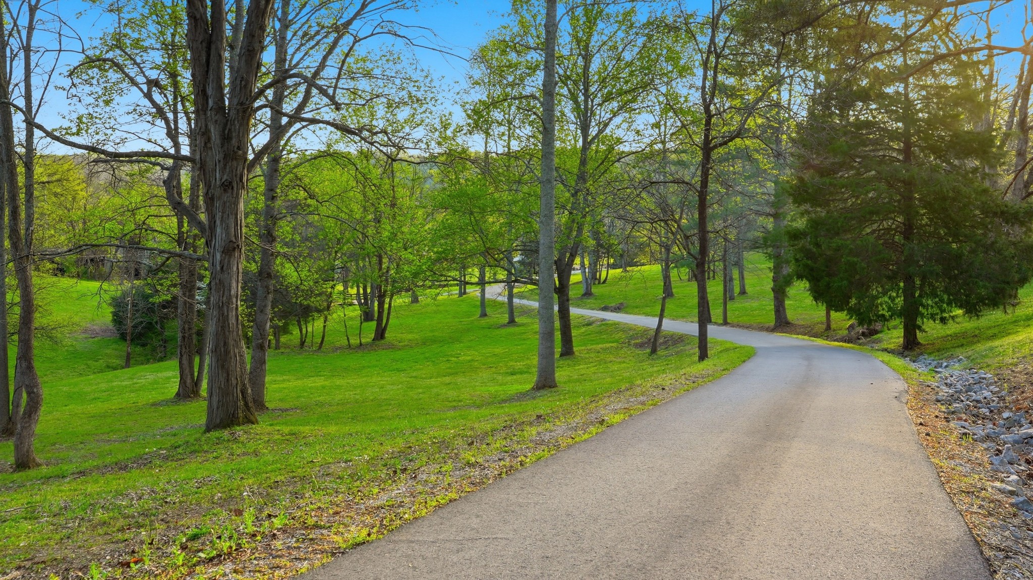 3360 Sweeney Hollow Road Franklin, TN 37064 - Photo 4 of 80