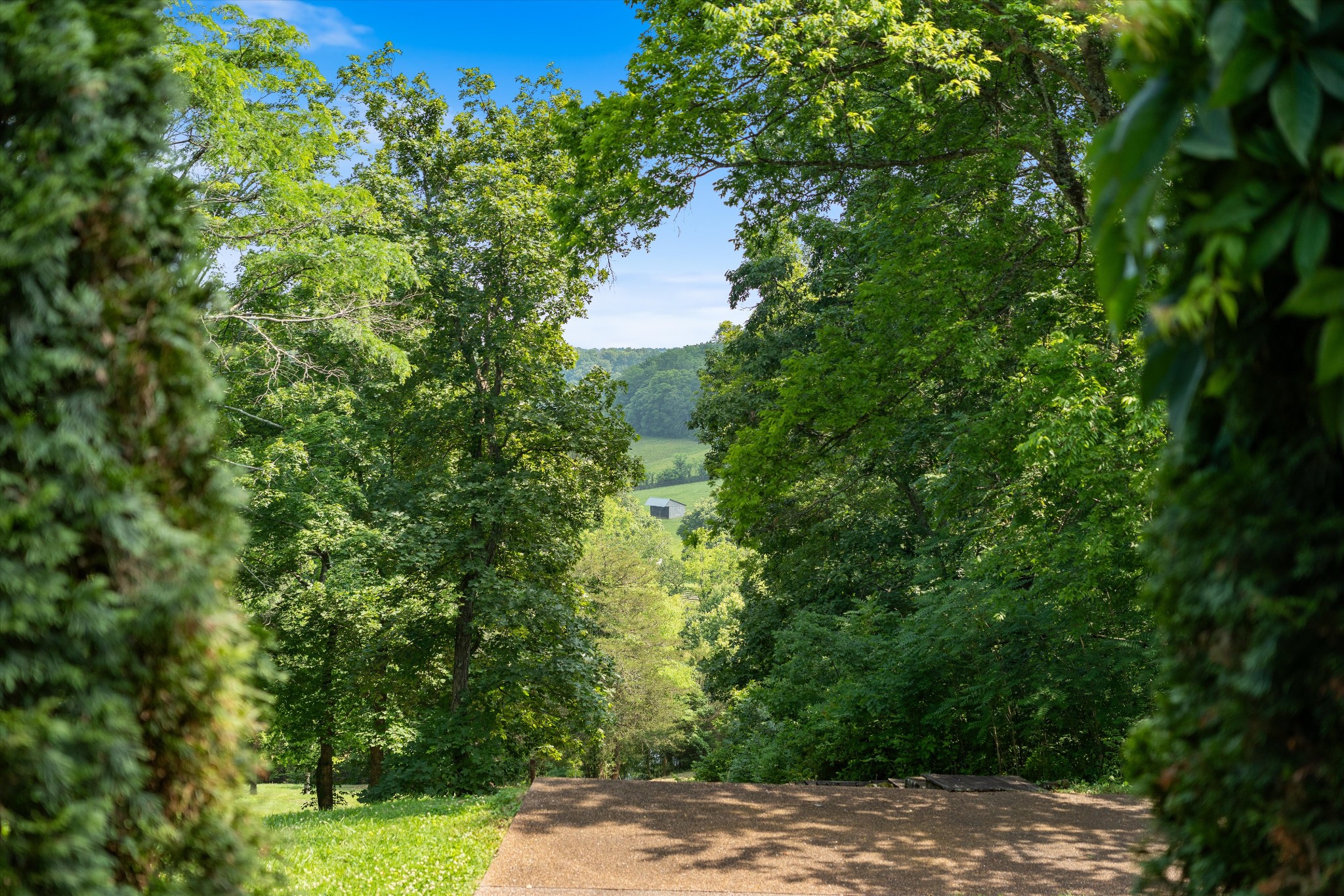 3360 Sweeney Hollow Road Franklin, TN 37064 - Photo 59 of 80