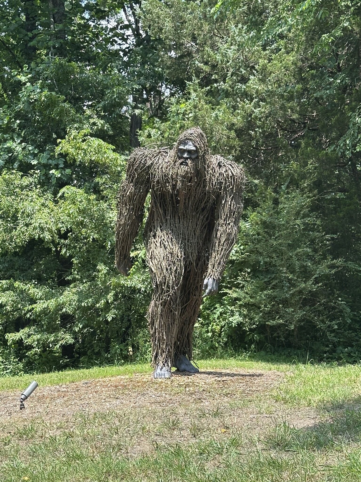 3360 Sweeney Hollow Road Franklin, TN 37064 - Photo 75 of 80