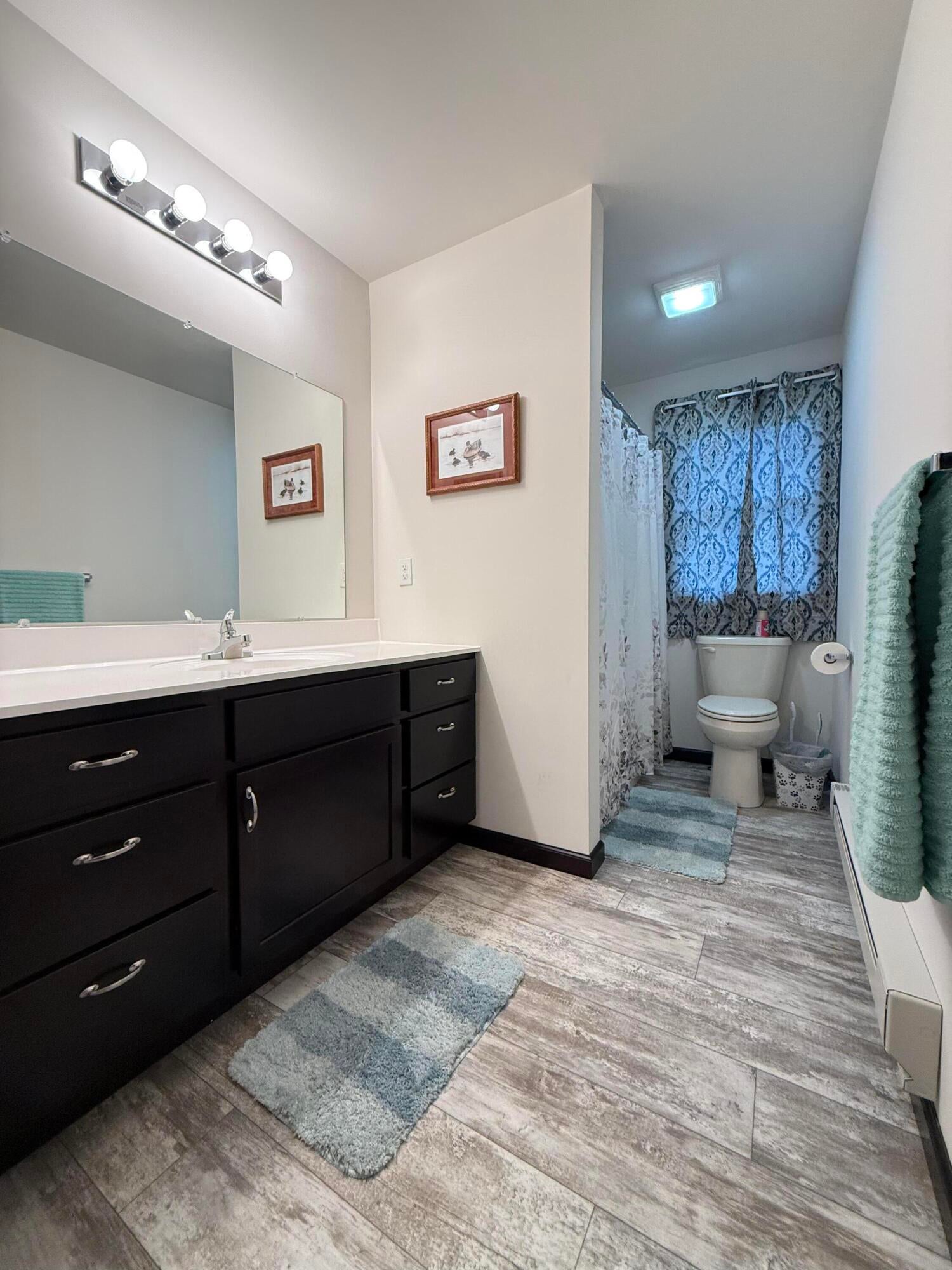 12164 West Irish Line Road Brimley, MI 49715 - Photo 14 of 33 Primary Bathroom