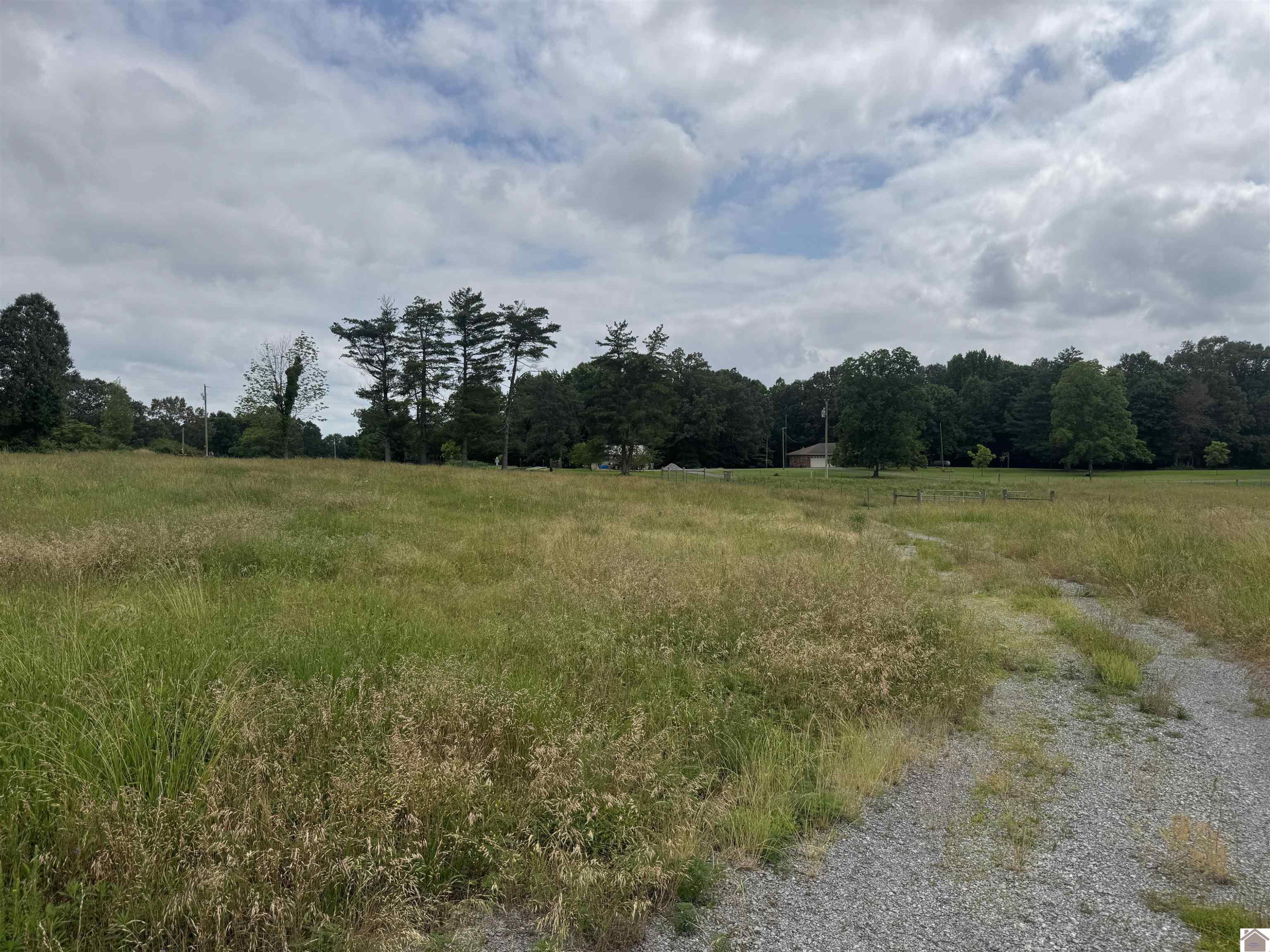 0 Dooms Chapel Road Symsonia, KY 42082 - Photo 27 of 35 Photo 27