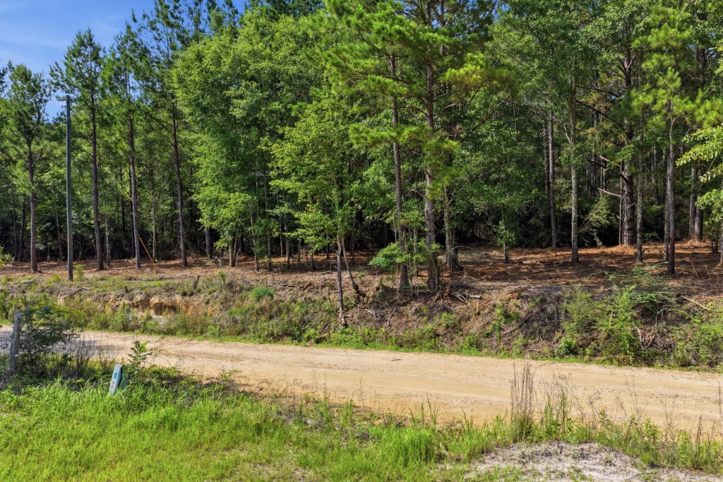 Lot #2 Crosby Clark Road Opp, AL 36467 - Photo 4 of 8