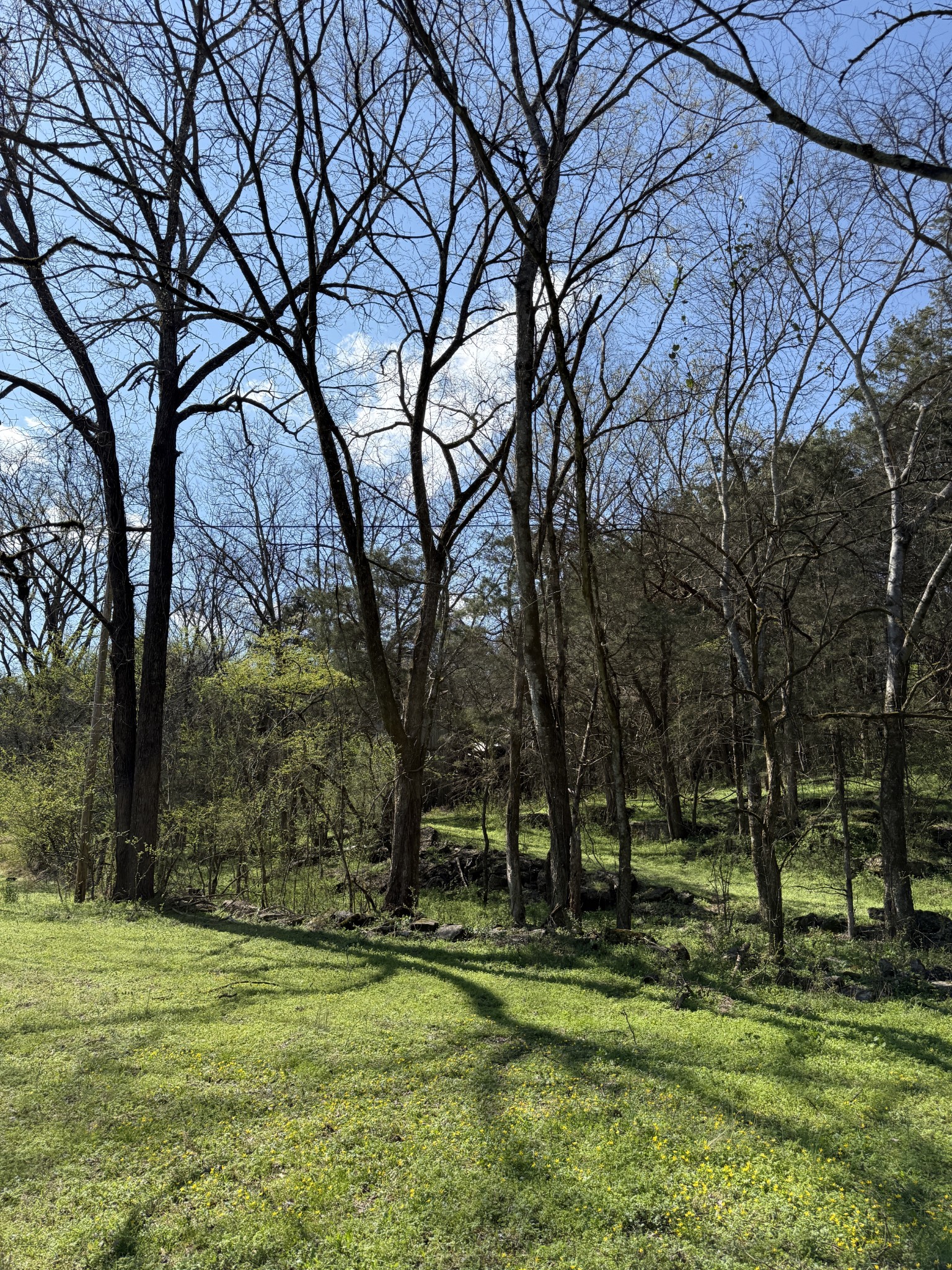 855 Lick Creek Road Hartsville, TN 37074 - Photo 22 of 76 a backyard of a house with lots of green space and fountain