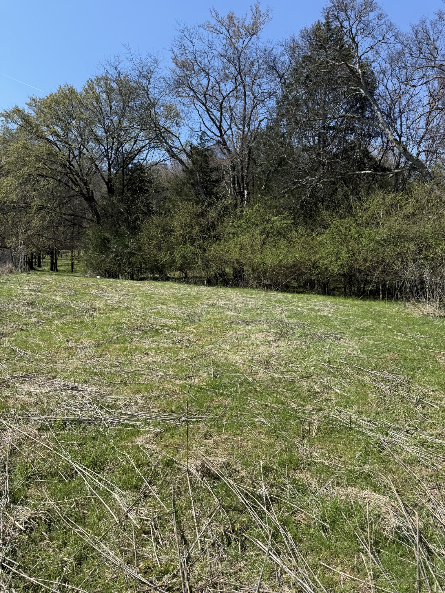 855 Lick Creek Road Hartsville, TN 37074 - Photo 35 of 76