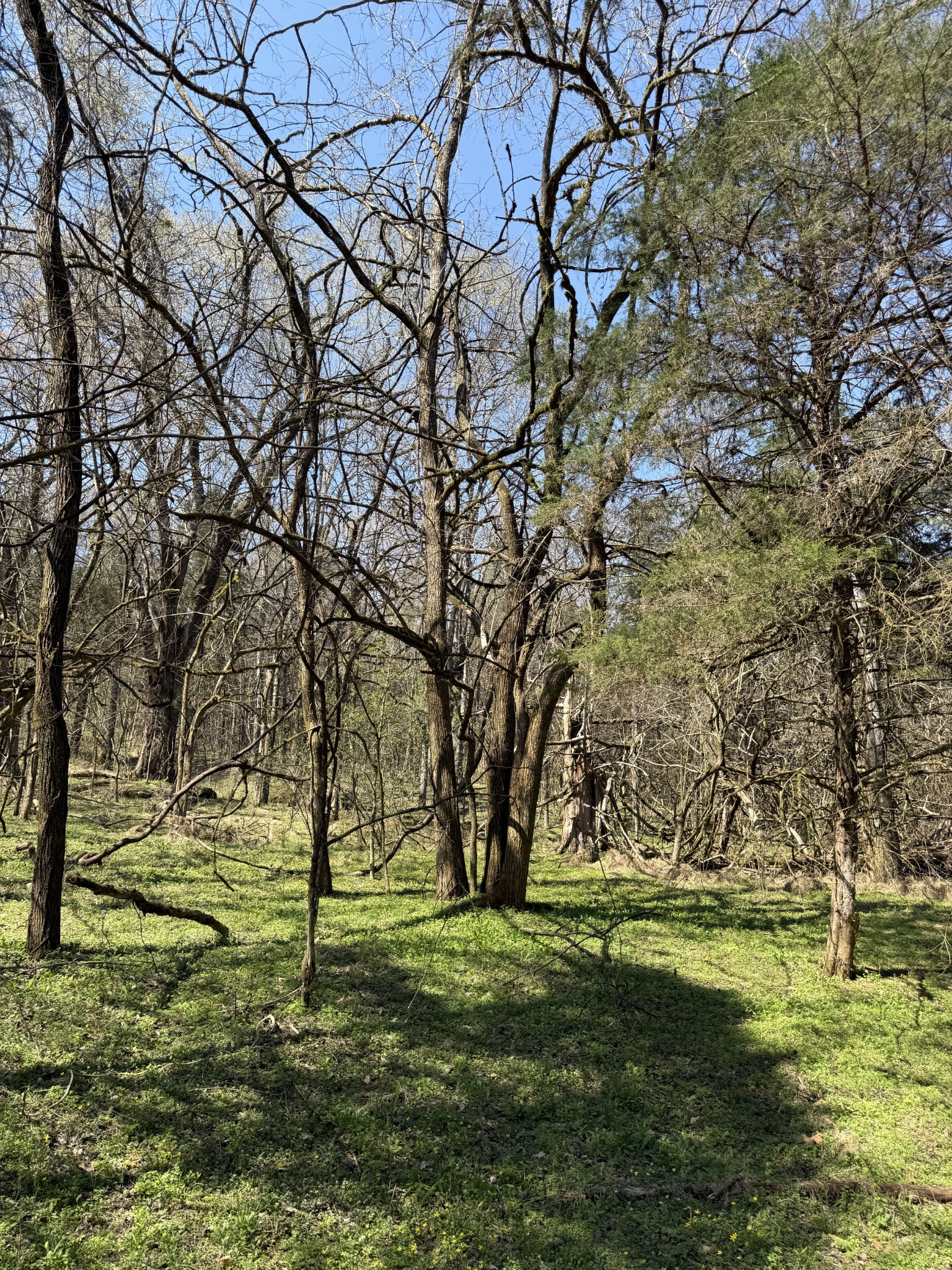 855 Lick Creek Road Hartsville, TN 37074 - Photo 38 of 76