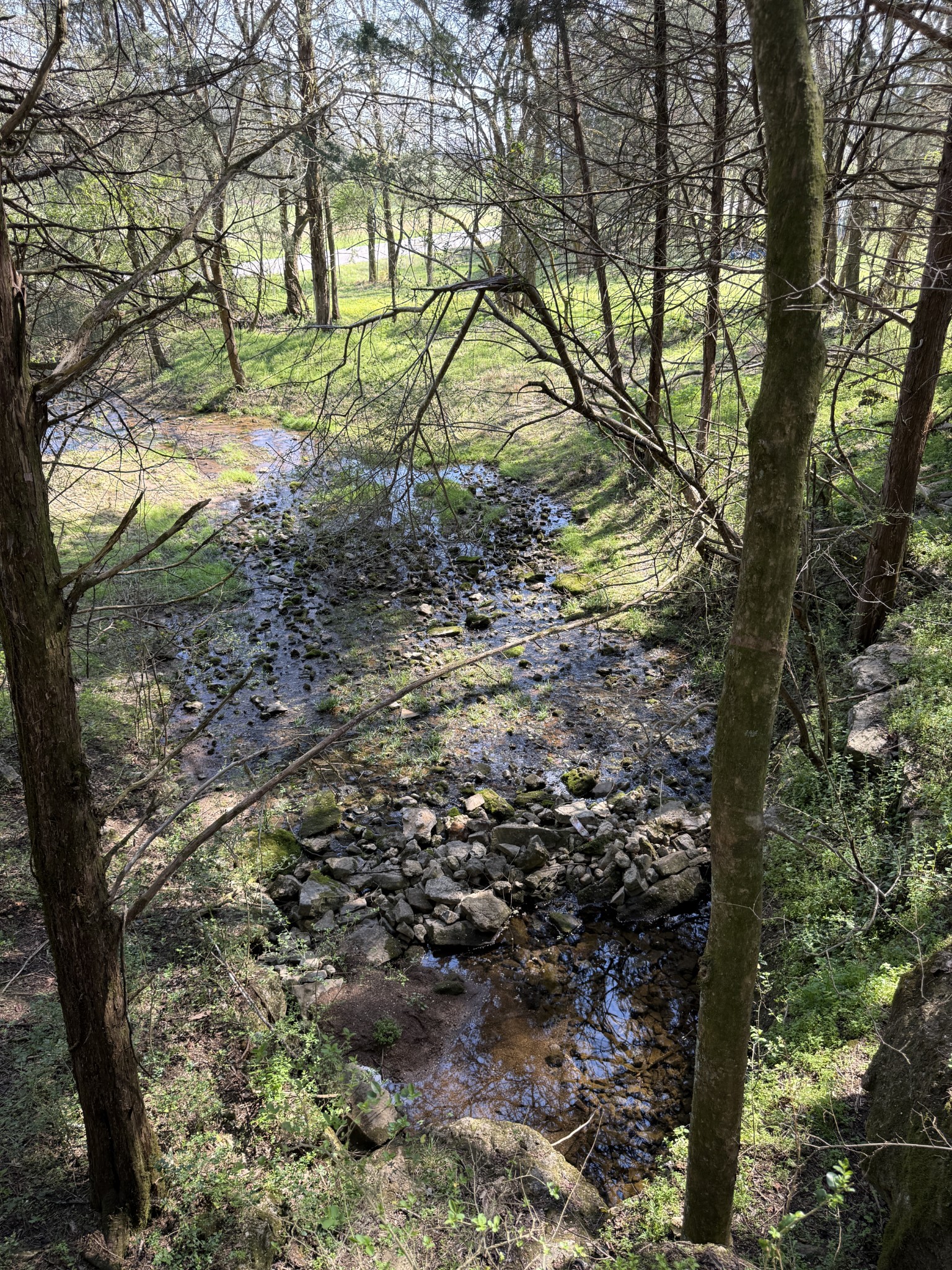 855 Lick Creek Road Hartsville, TN 37074 - Photo 4 of 76 a view of tree