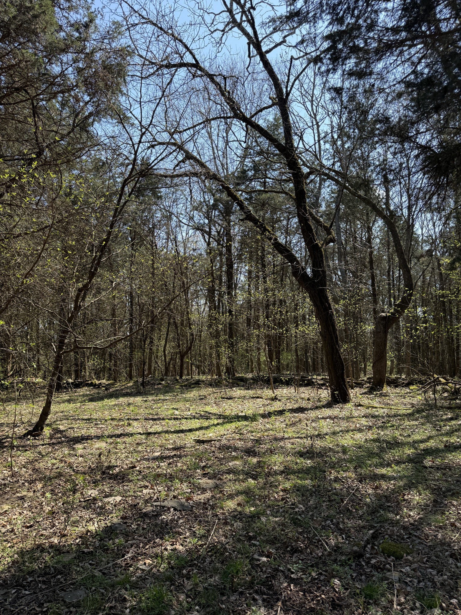 855 Lick Creek Road Hartsville, TN 37074 - Photo 43 of 76