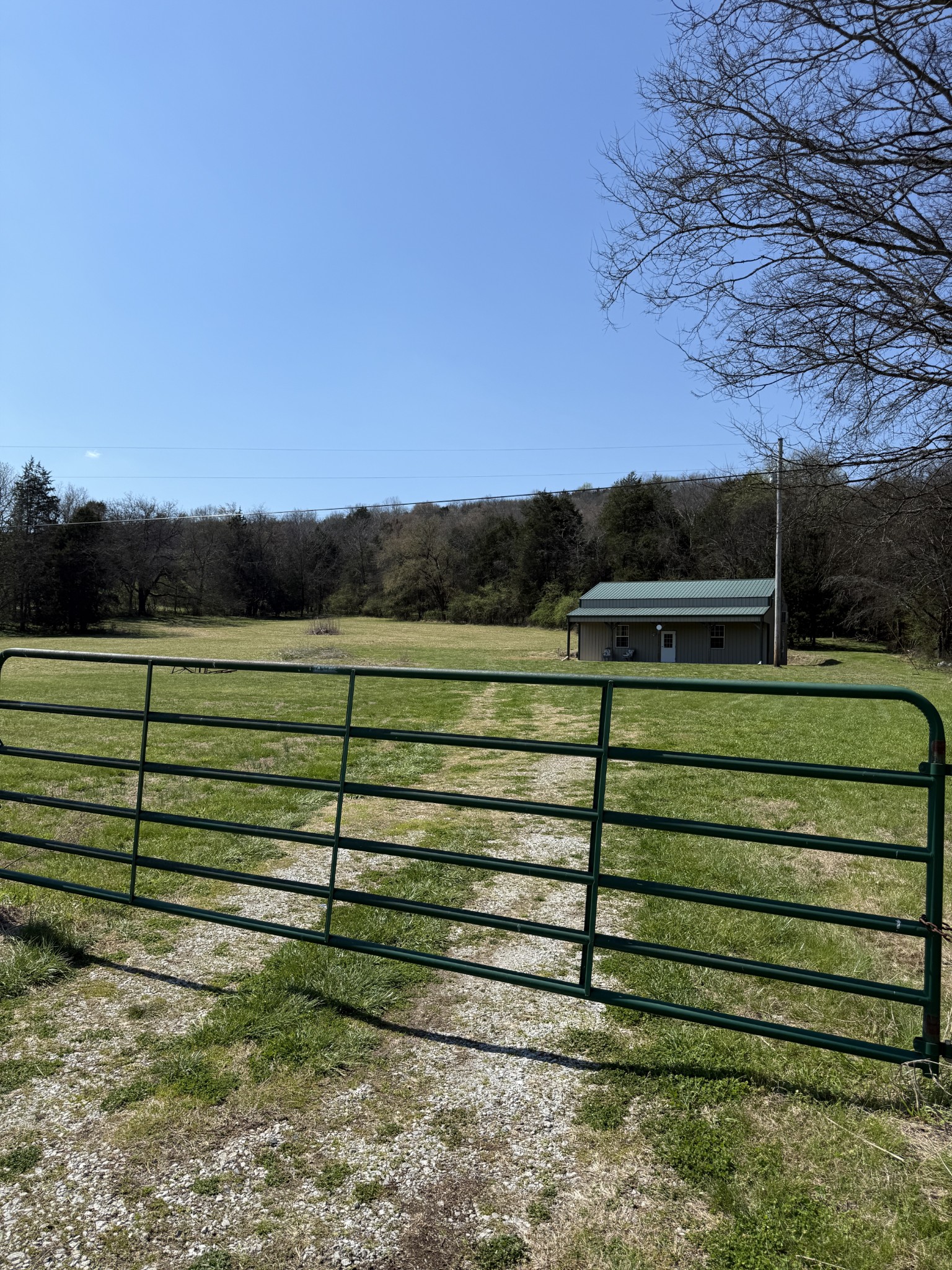 855 Lick Creek Road Hartsville, TN 37074 - Photo 5 of 76 a view of park with a bench