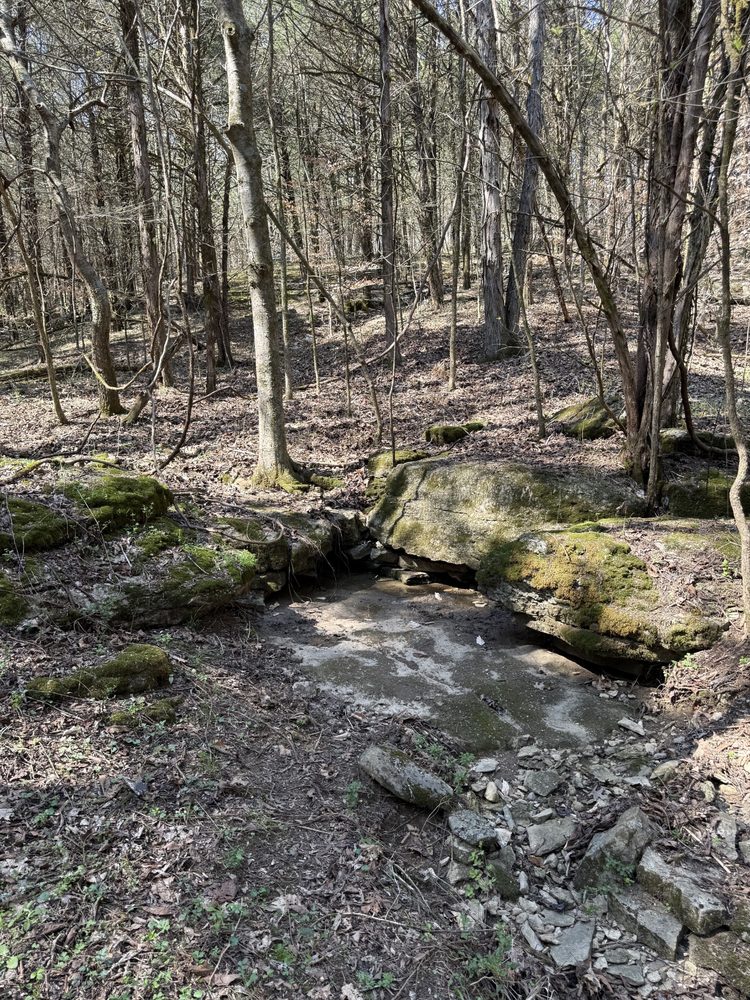 855 Lick Creek Road Hartsville, TN 37074 - Photo 58 of 76