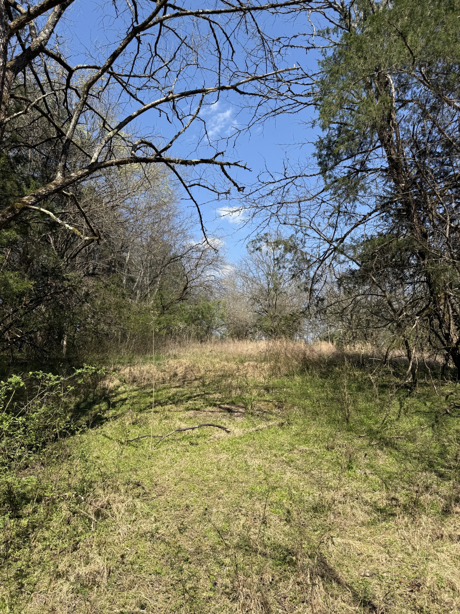 855 Lick Creek Road Hartsville, TN 37074 - Photo 62 of 76 a view of a yard next to a building