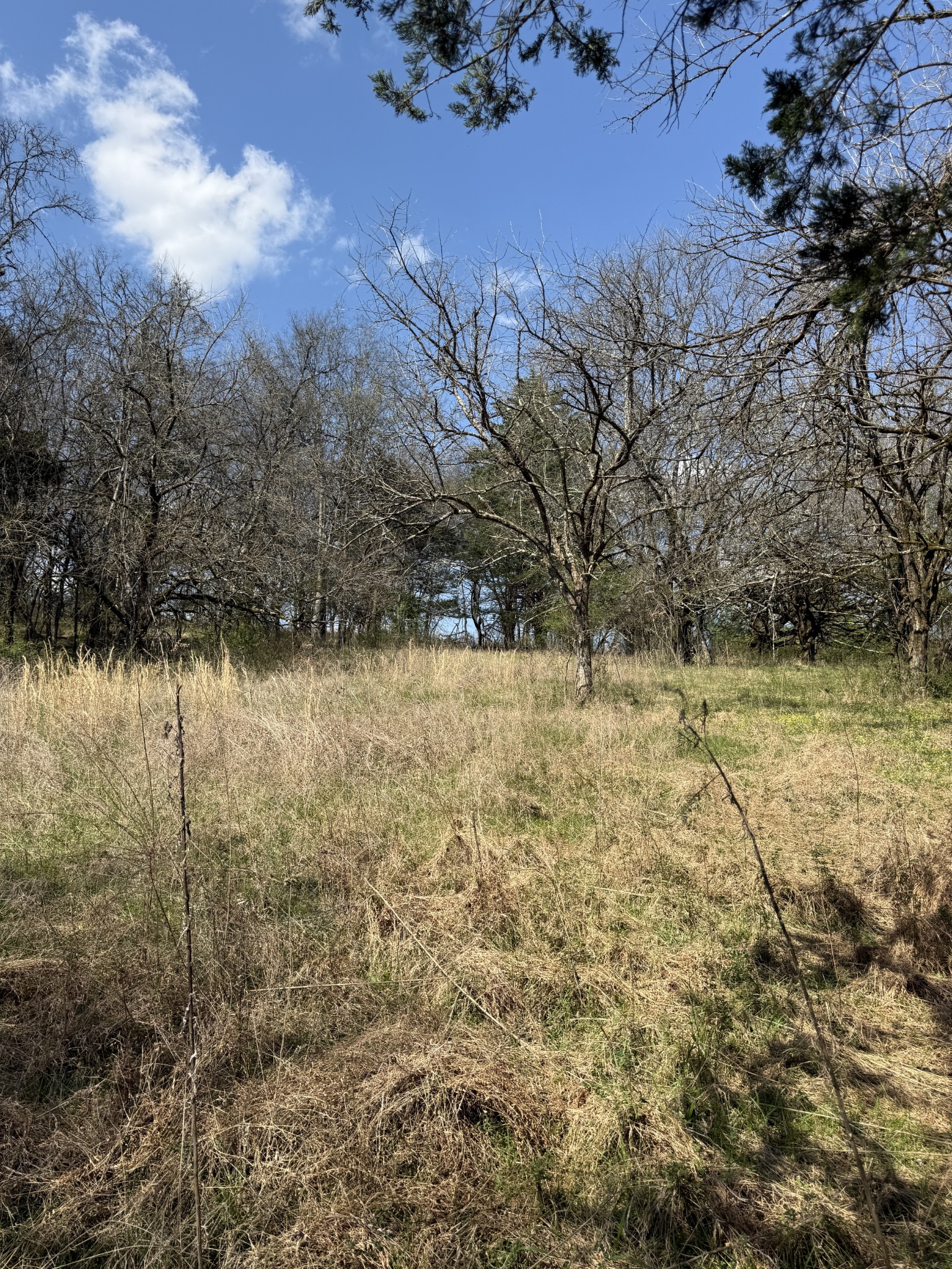 855 Lick Creek Road Hartsville, TN 37074 - Photo 63 of 76