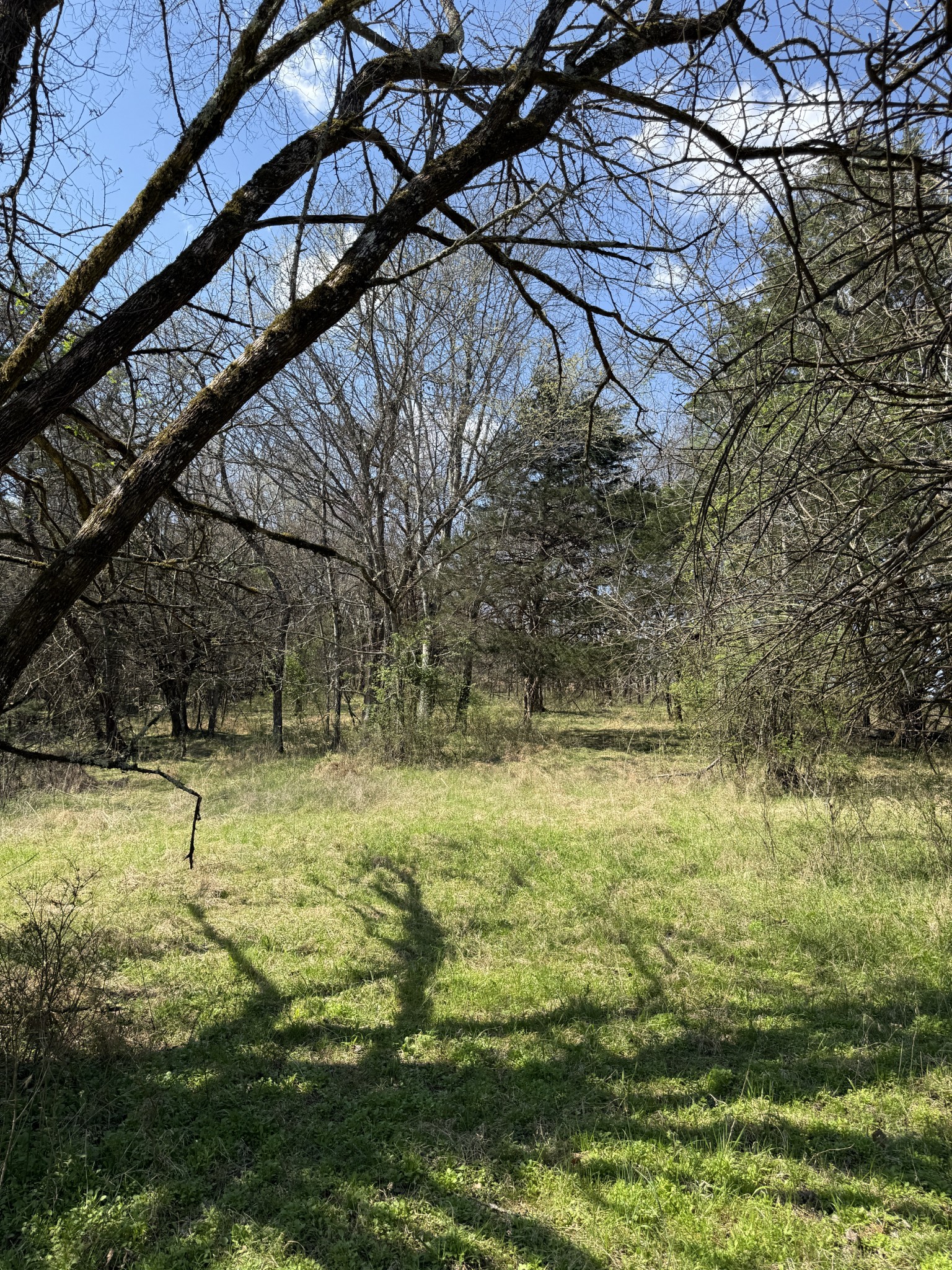855 Lick Creek Road Hartsville, TN 37074 - Photo 65 of 76 a view of yard with swimming pool