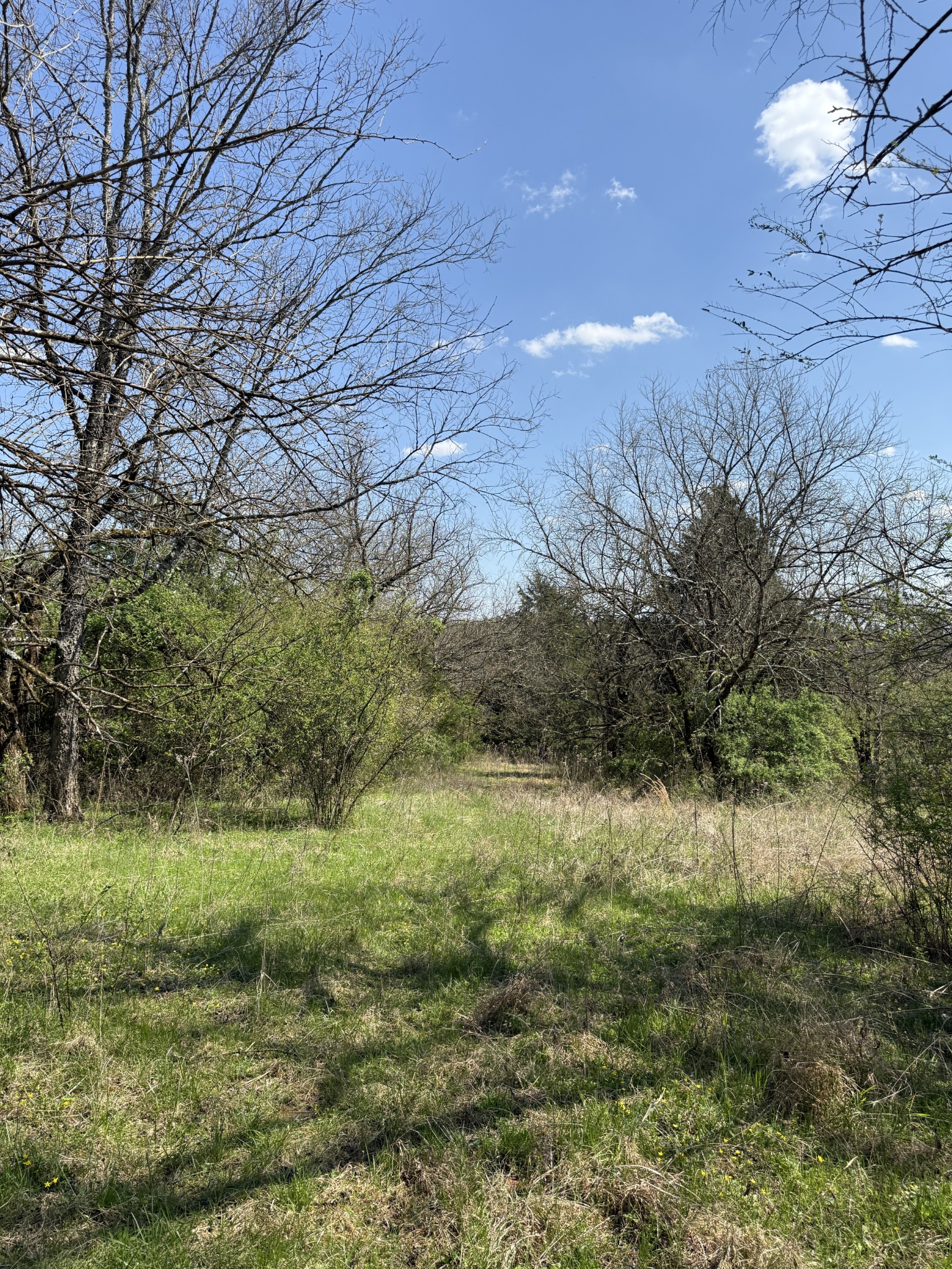 855 Lick Creek Road Hartsville, TN 37074 - Photo 66 of 76