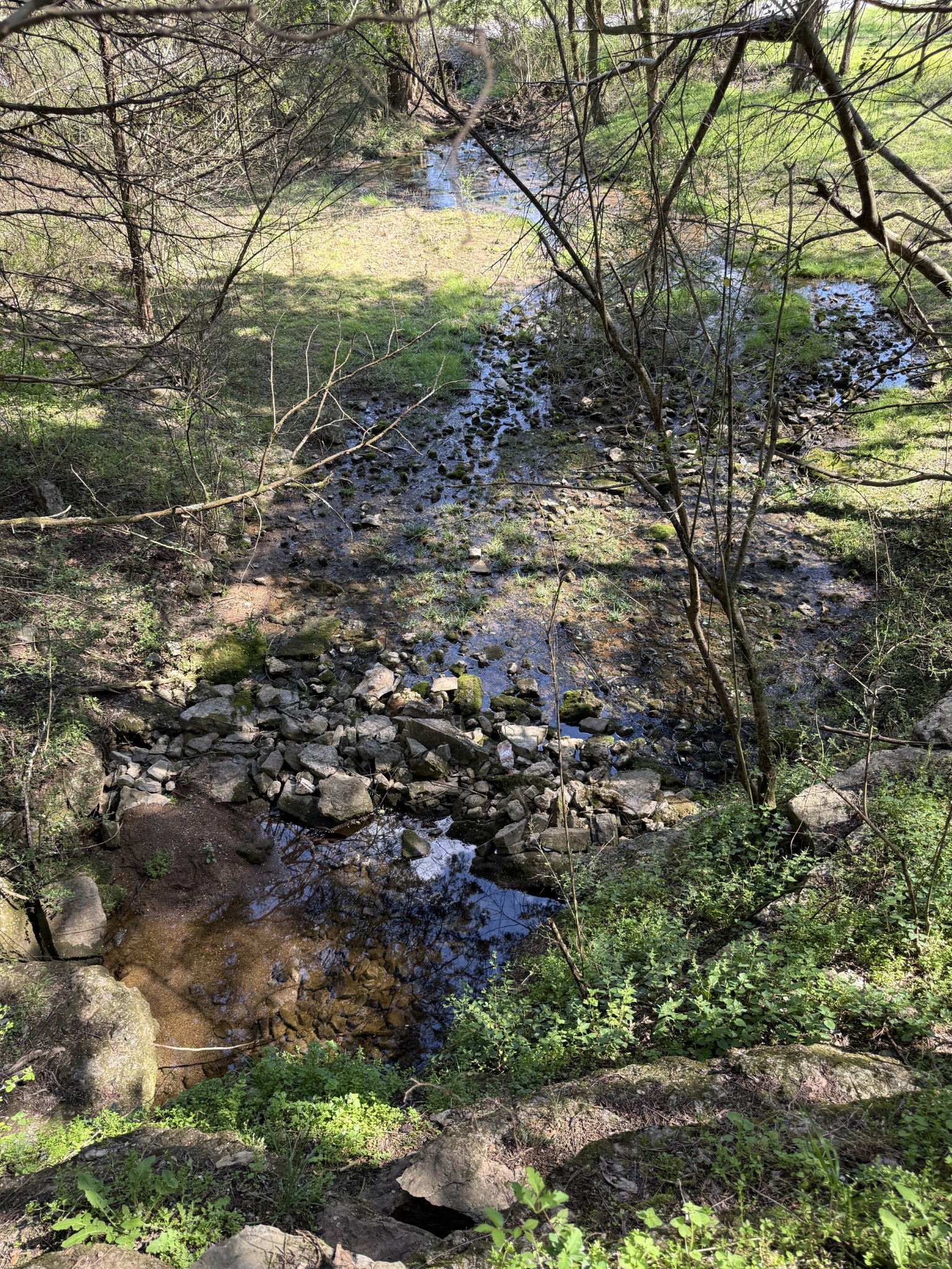 855 Lick Creek Road Hartsville, TN 37074 - Photo 67 of 76 a view of a yard with a tree