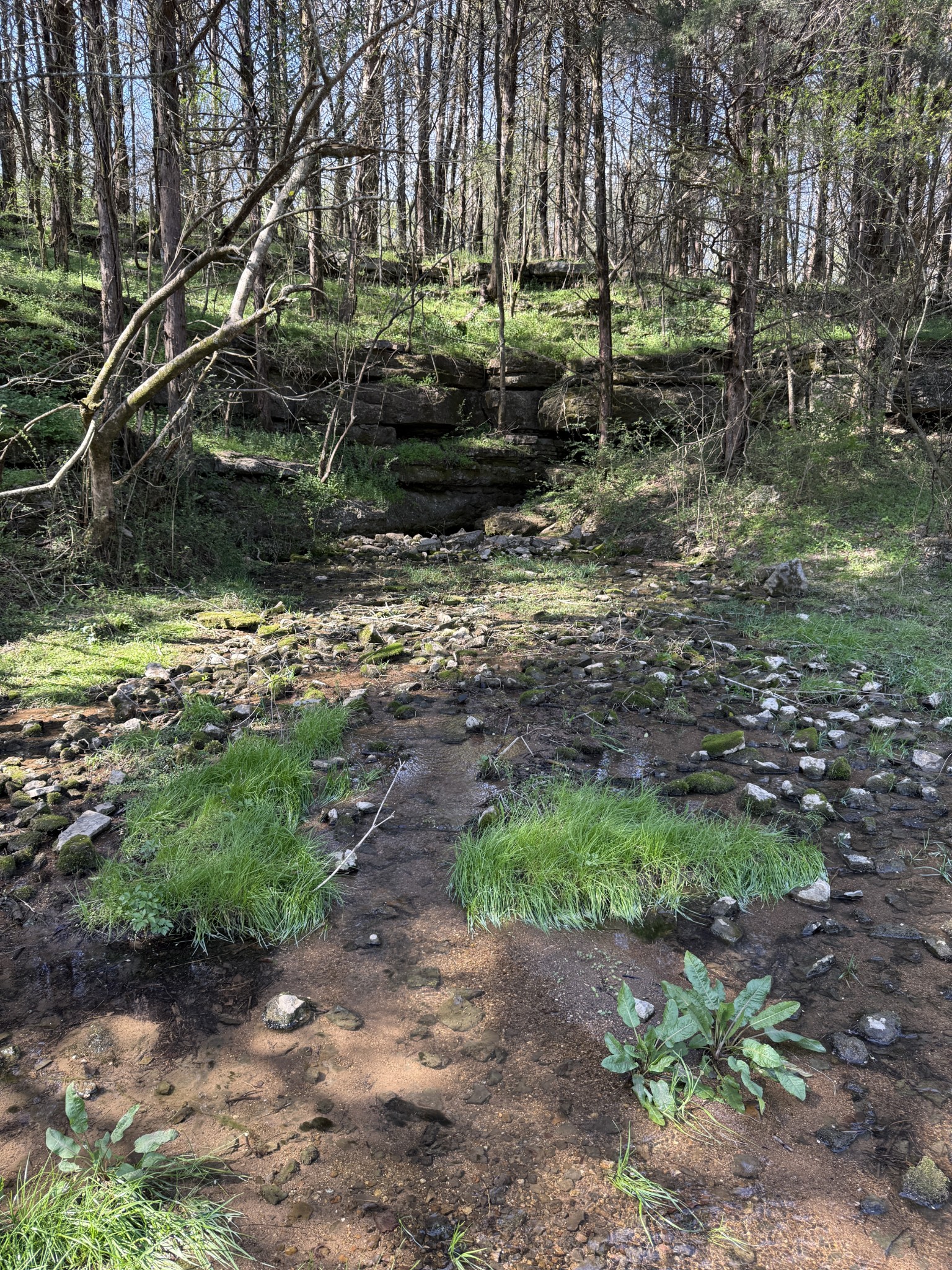 855 Lick Creek Road Hartsville, TN 37074 - Photo 68 of 76 a backyard of a house with a yard and outdoor seating