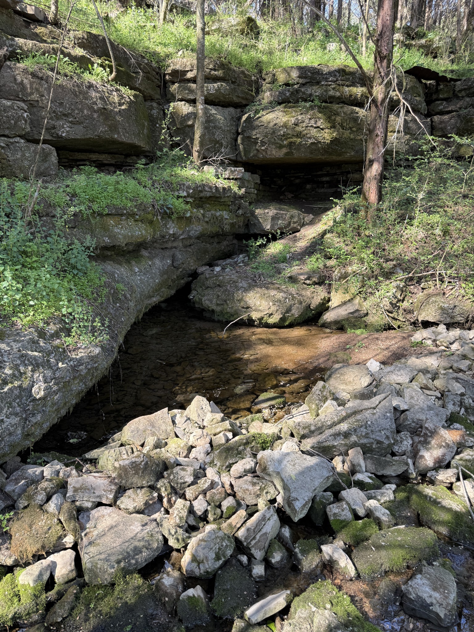 855 Lick Creek Road Hartsville, TN 37074 - Photo 75 of 76