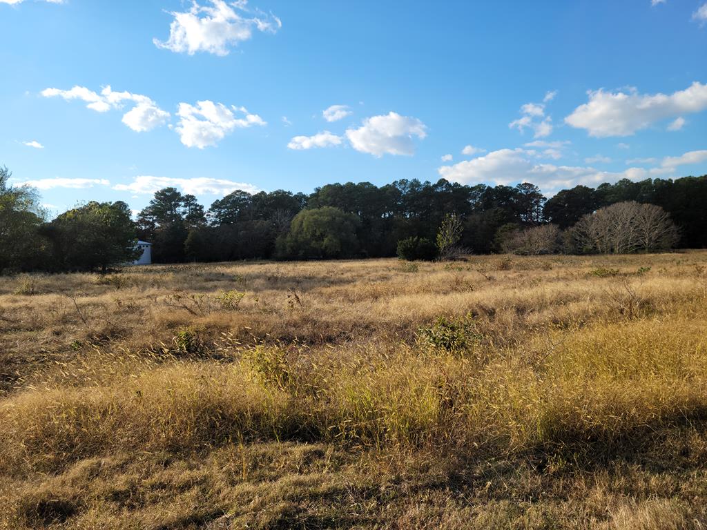 Lot 38 Church Neck Road, Unit 38 Machipongo, VA 23405 - Photo 2 of 9