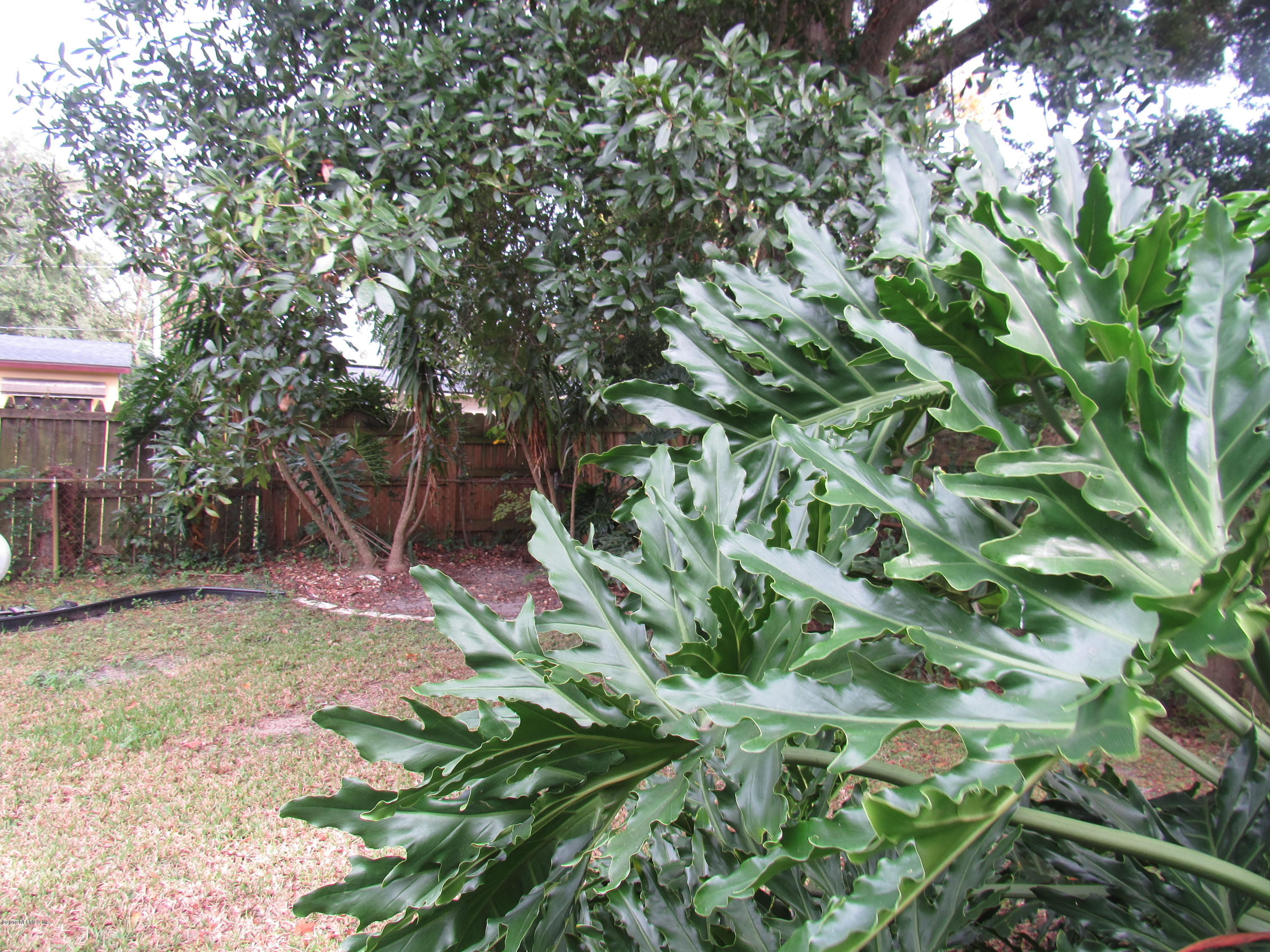 1911 Ector Road Jacksonville, FL 32211 - Photo 23 of 24 Large Fenced Back Yard