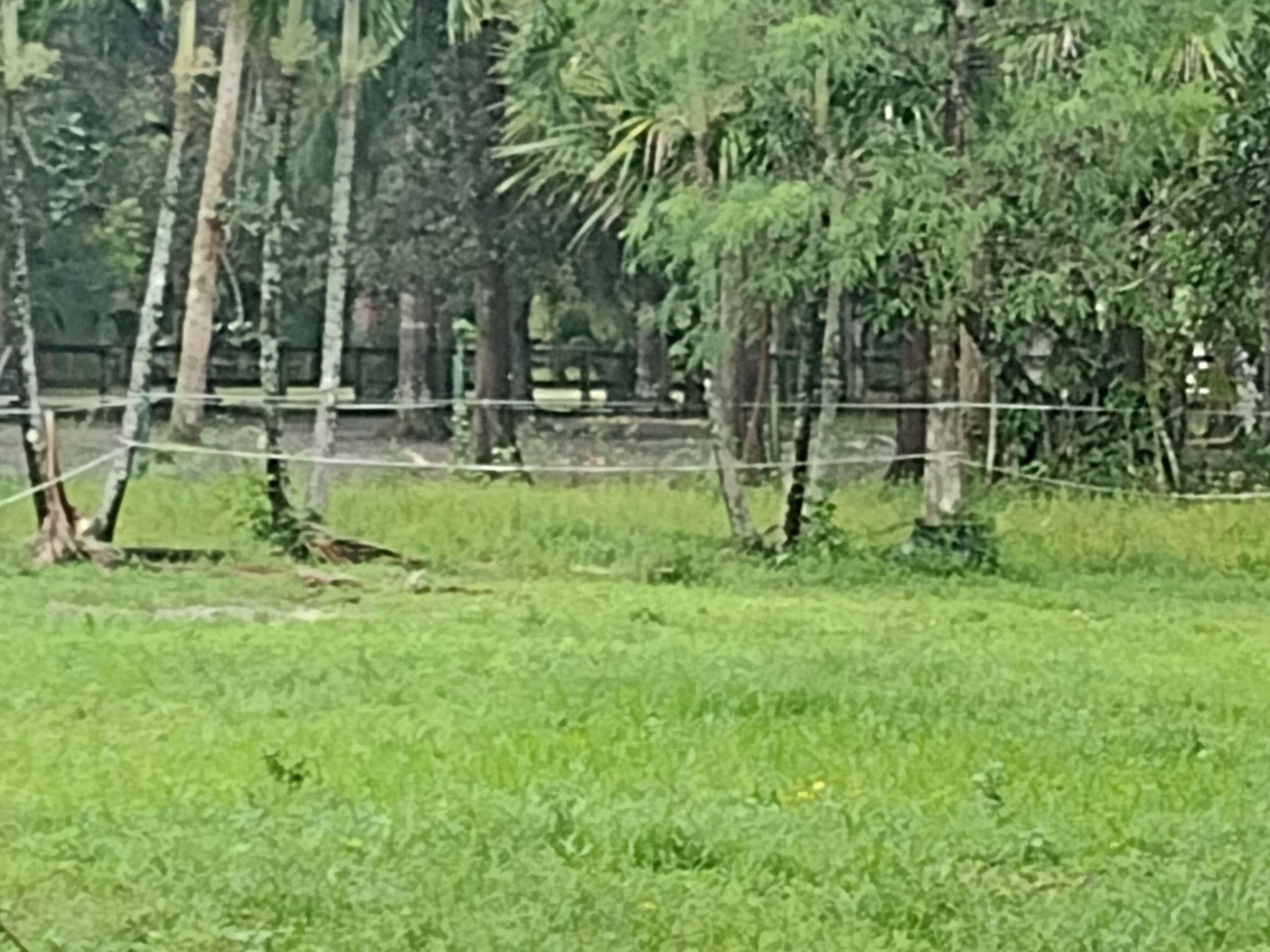 14717 Collecting Canal Road Loxahatchee, FL 33470 - Photo 6 of 6 IMG_20220712_152122523