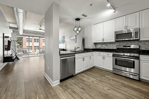 $3,050 | 845 North Kingsbury Street, Unit 412, Chicago, IL 60610