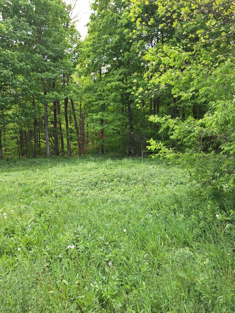 0 Mt Tom Road Springfield Center, NY 13468 - Photo 9 of 14