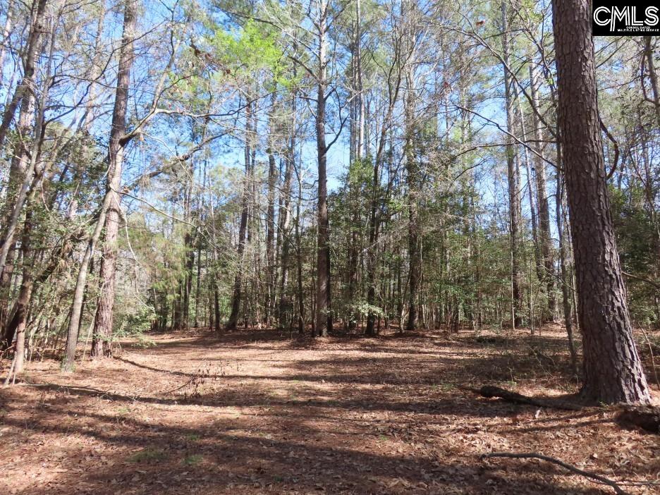 1672 Dixired Road Leesville, SC 29070 - Photo 41 of 67