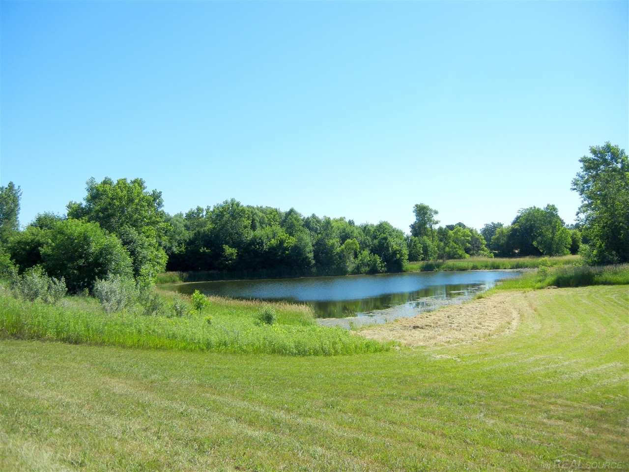 4690 West Bennington Road Owosso, MI 48867 - Photo 52 of 59 31295499-51.JPG