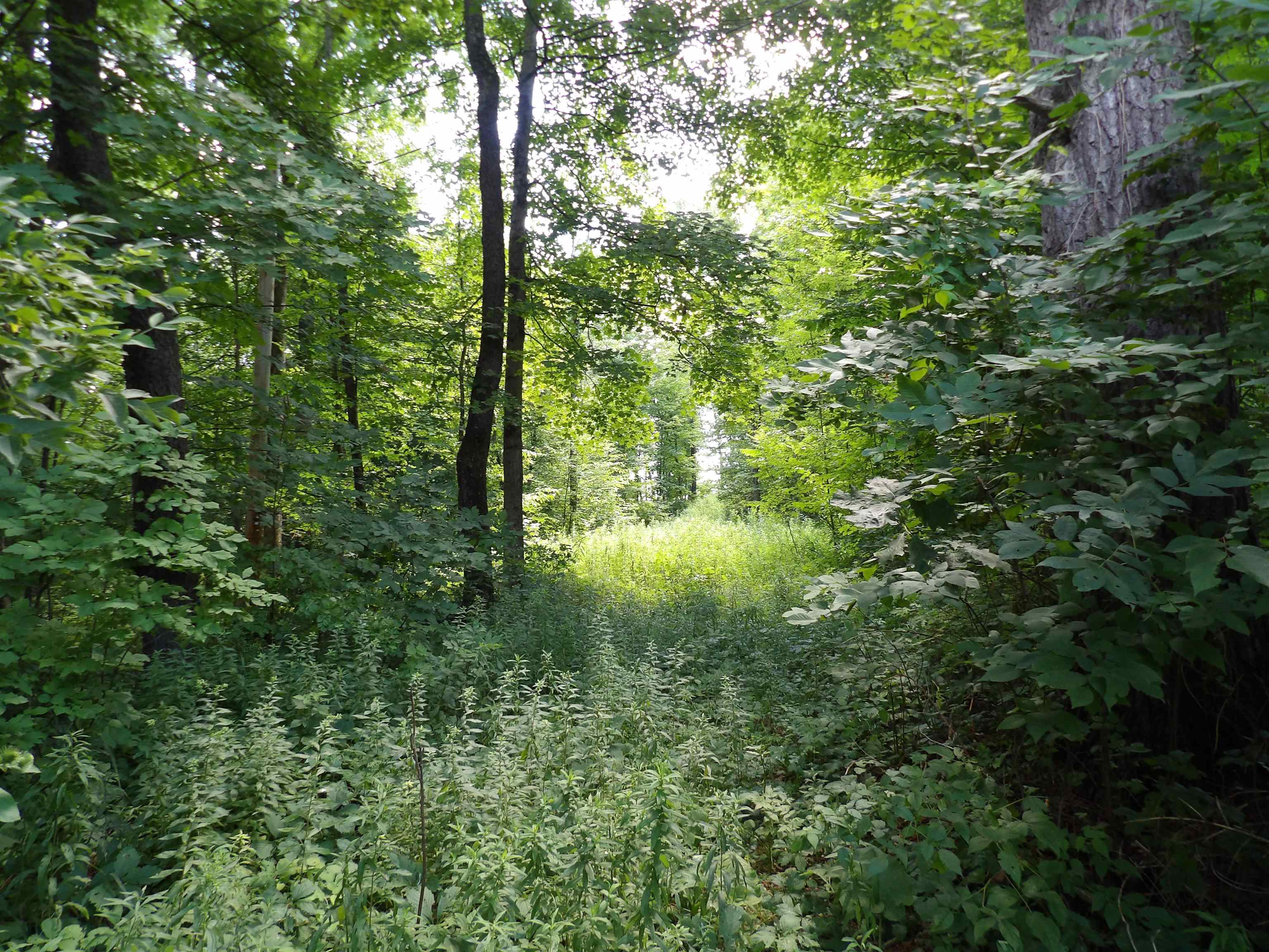 20 Center Street Proctor, VT 05765 - Photo 8 of 12 Gallery Image 8