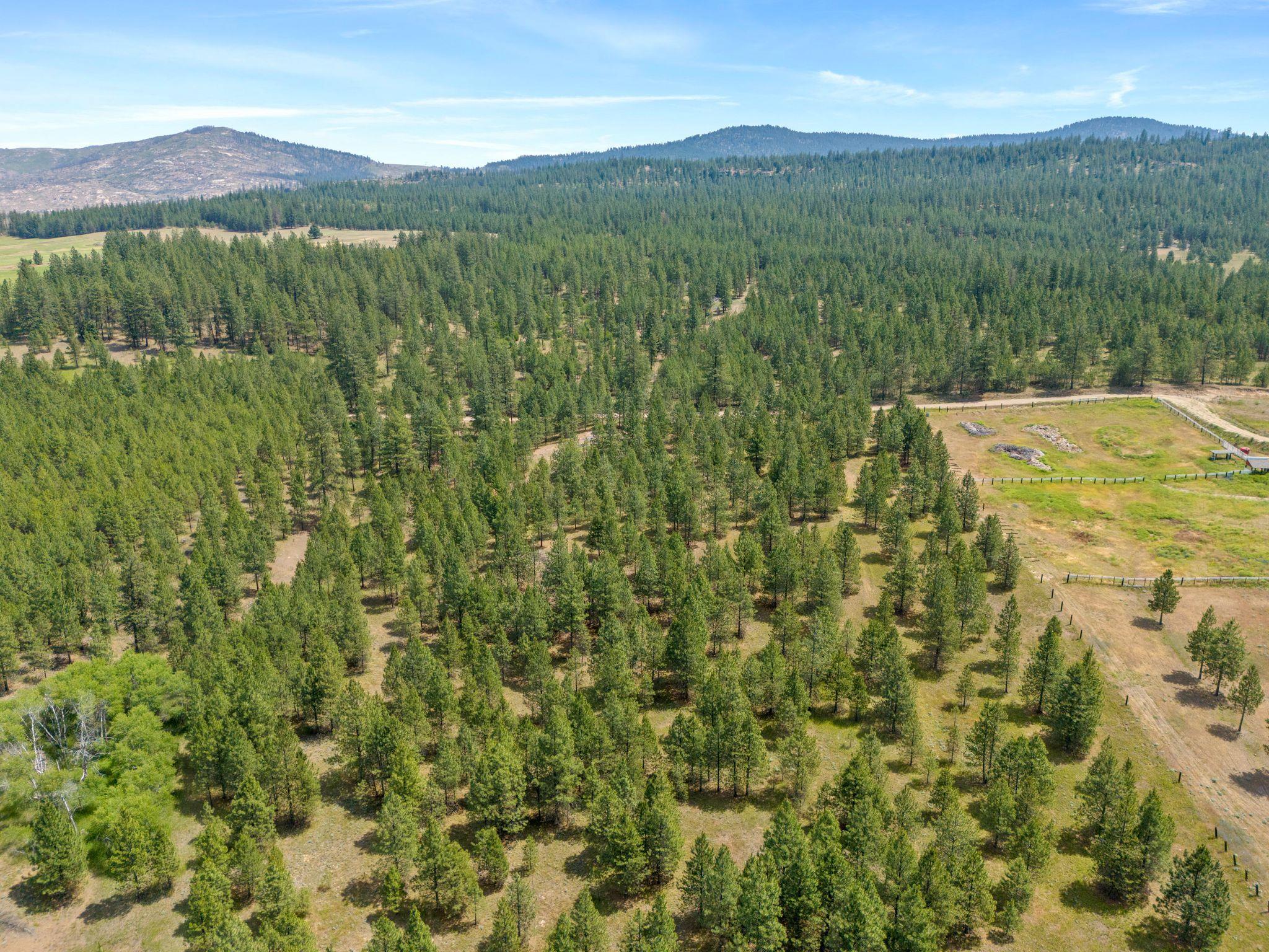 5285 Highway 231, Unit D Ford, WA 99013 - Photo 11 of 14