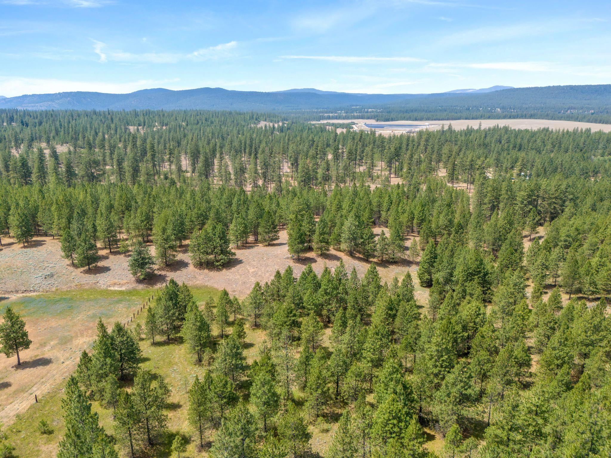 5285 Highway 231, Unit D Ford, WA 99013 - Photo 13 of 14