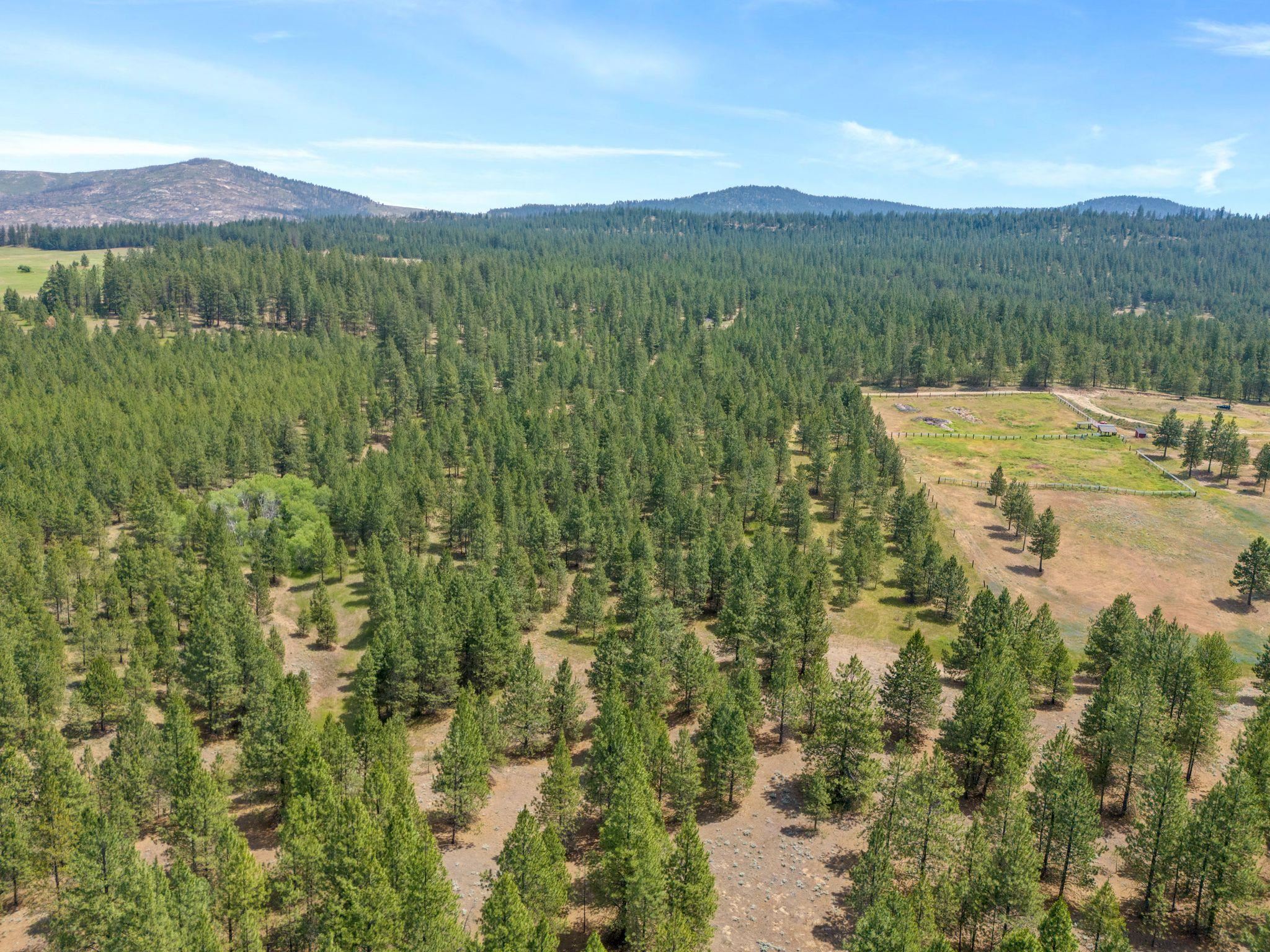 5285 Highway 231, Unit D Ford, WA 99013 - Photo 14 of 14