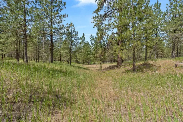 $79,000 | 5285 Highway 231, Unit D, Ford, WA 99013