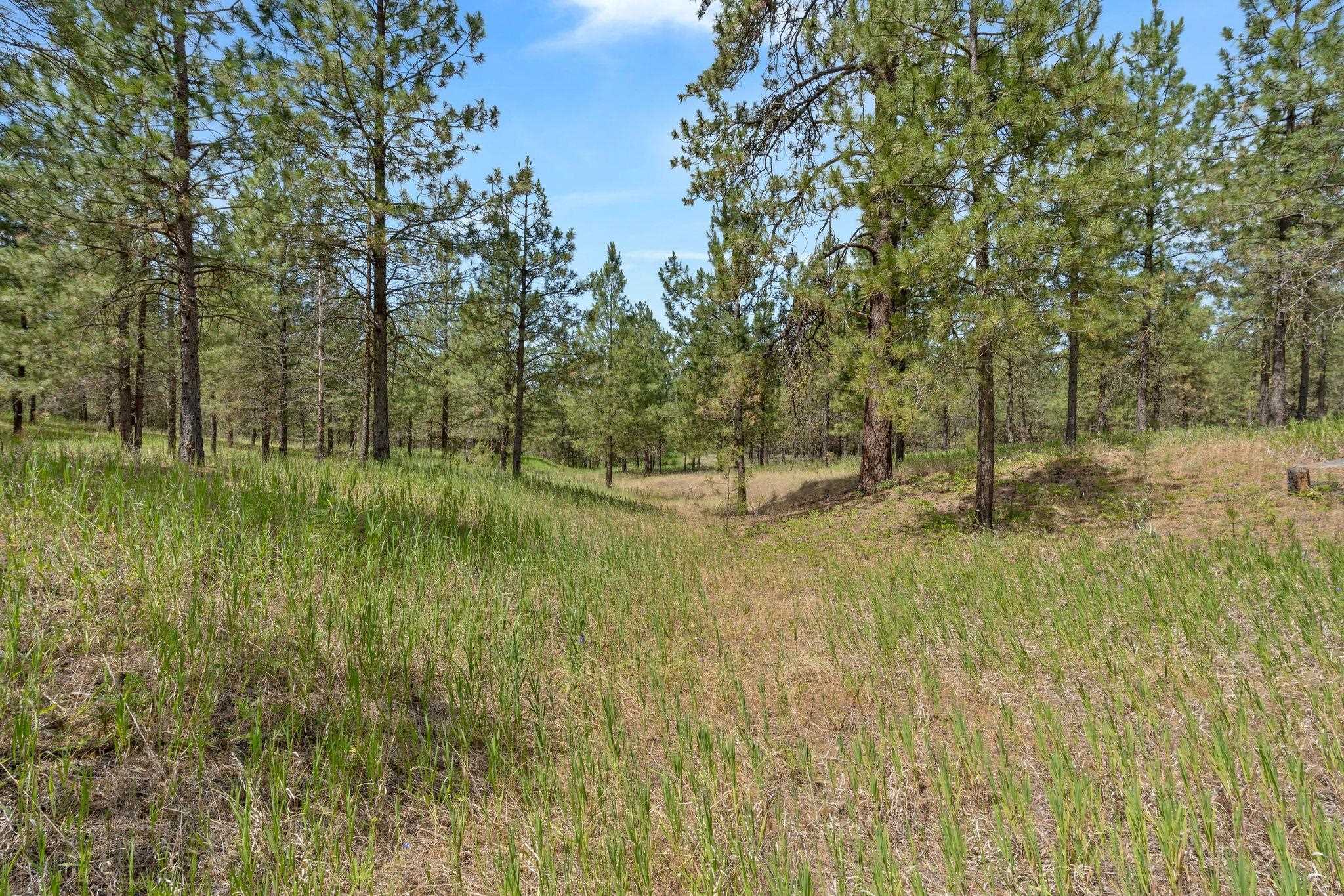 5285 Highway 231, Unit D Ford, WA 99013 - Photo 3 of 14