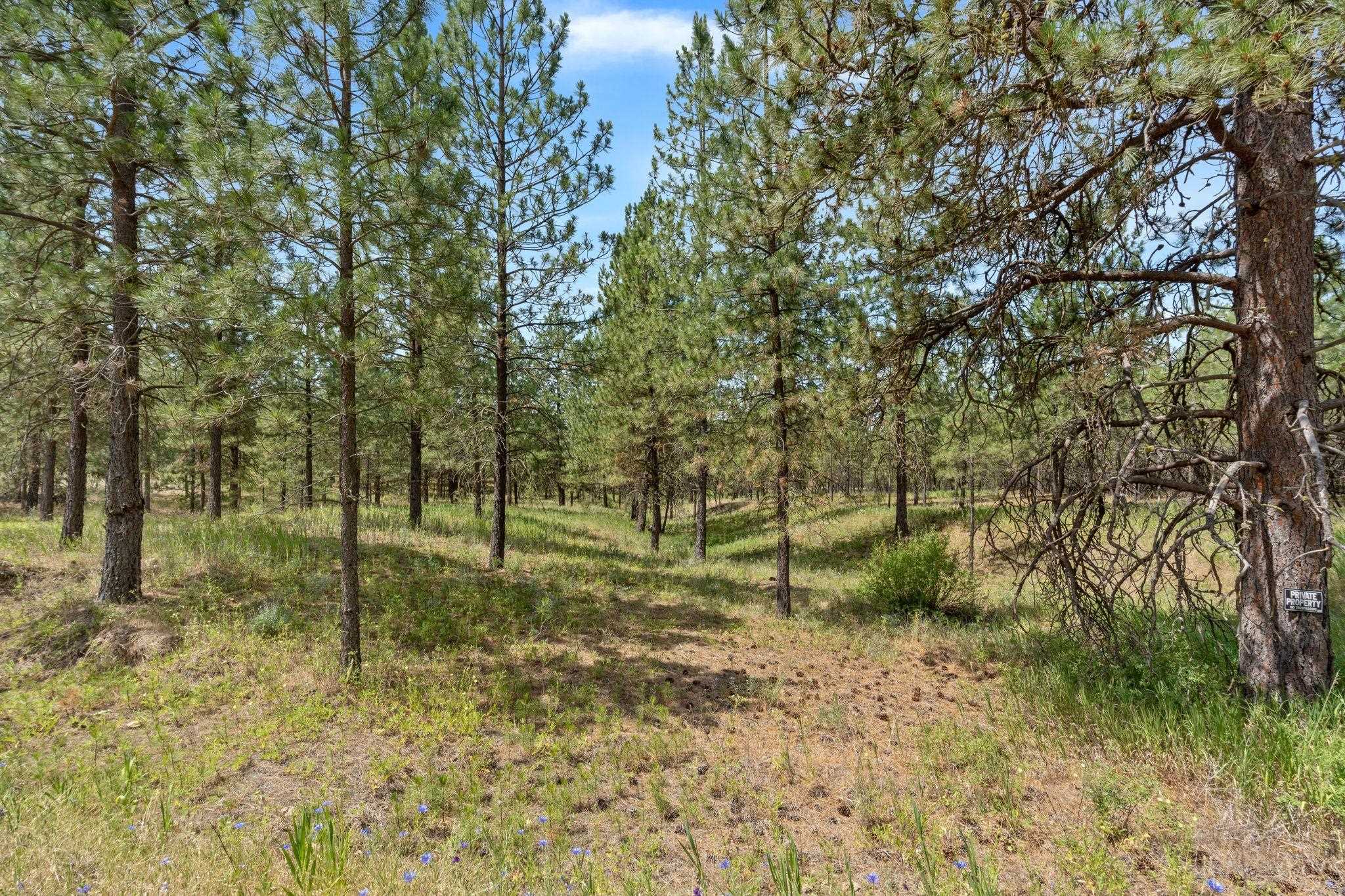 5285 Highway 231, Unit D Ford, WA 99013 - Photo 4 of 14