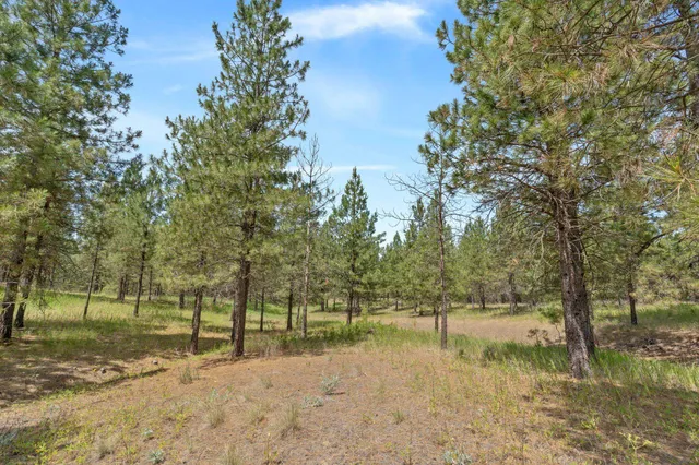 $79,000 | 5285 Highway 231, Unit D, Ford, WA 99013