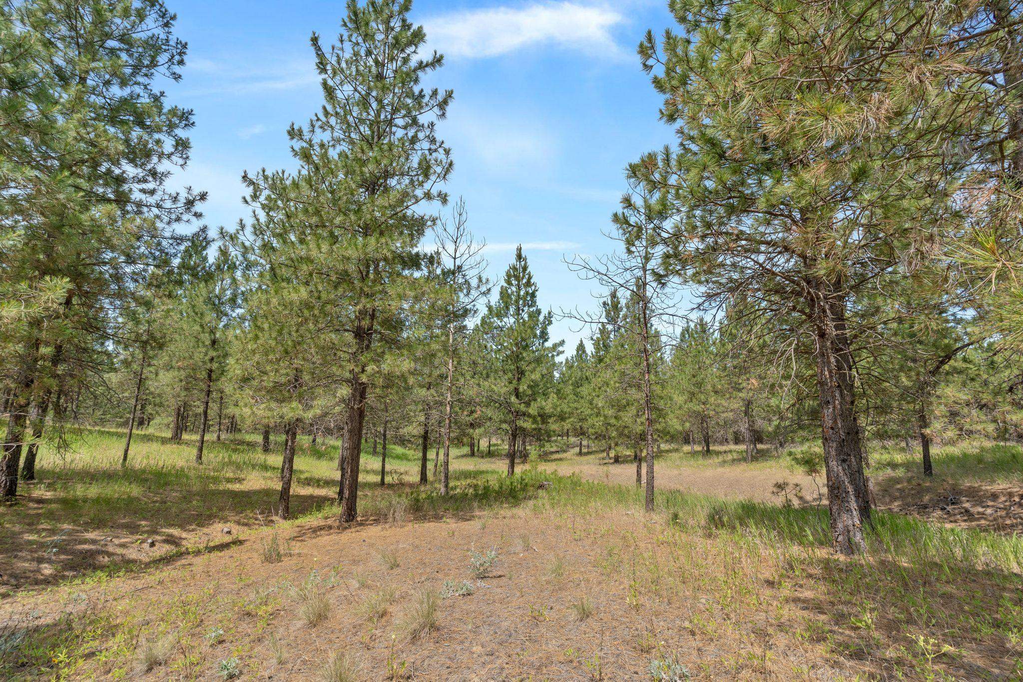 5285 Highway 231, Unit D Ford, WA 99013 - Photo 5 of 14