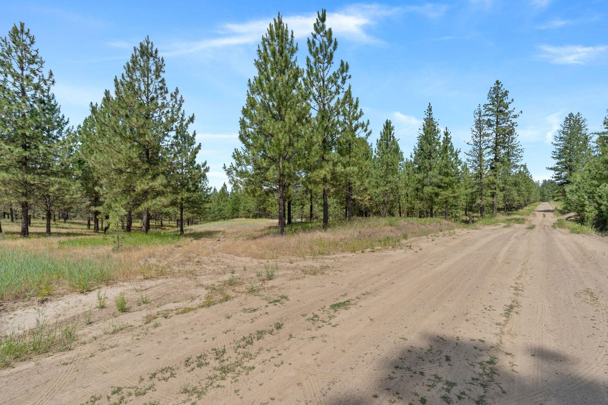 5285 Highway 231, Unit D Ford, WA 99013 - Photo 6 of 14