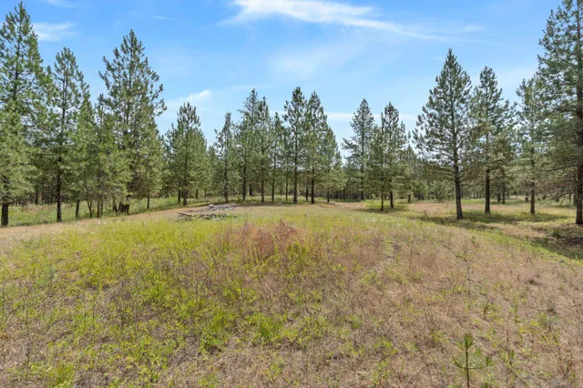 $79,000 | 5285 Highway 231, Unit D, Ford, WA 99013